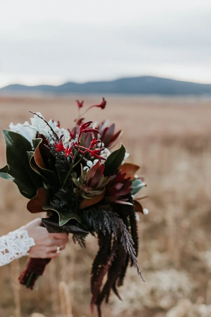 Alicia+lucia+photography+-+albuquerque+wedding+photographer+-+santa+fe+wedding+photography+-+new+mexico+wedding+photographer+-+new+mexico+wedding+-+wedding+florals+-+winter+wedding+-+winter+wedding+florals_0023.jpg