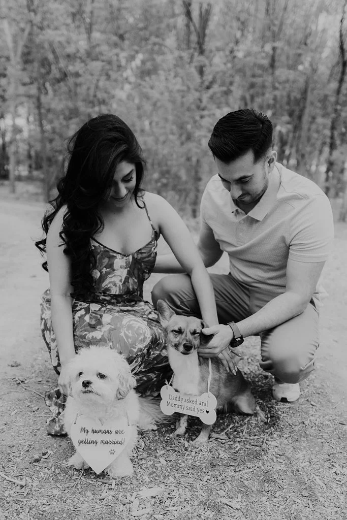 Alicia+lucia+photography+-+albuquerque+wedding+photographer+-+santa+fe+wedding+photography+-+new+mexico+wedding+photographer+-+new+mexico+wedding+-+wedding+photographer+-+santa+fe+wedding+photographer+-+albuquerque+wedding+photographer_0035.jpg