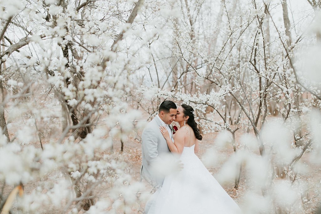 Alicia+lucia+photography+-+albuquerque+wedding+photographer+-+santa+fe+wedding+photography+-+new+mexico+wedding+photographer+-+new+mexico+wedding+-+wedding+photographer+-+santa+fe+wedding+photographer+-+albuquerque+wedding+photographer_0048.jpg