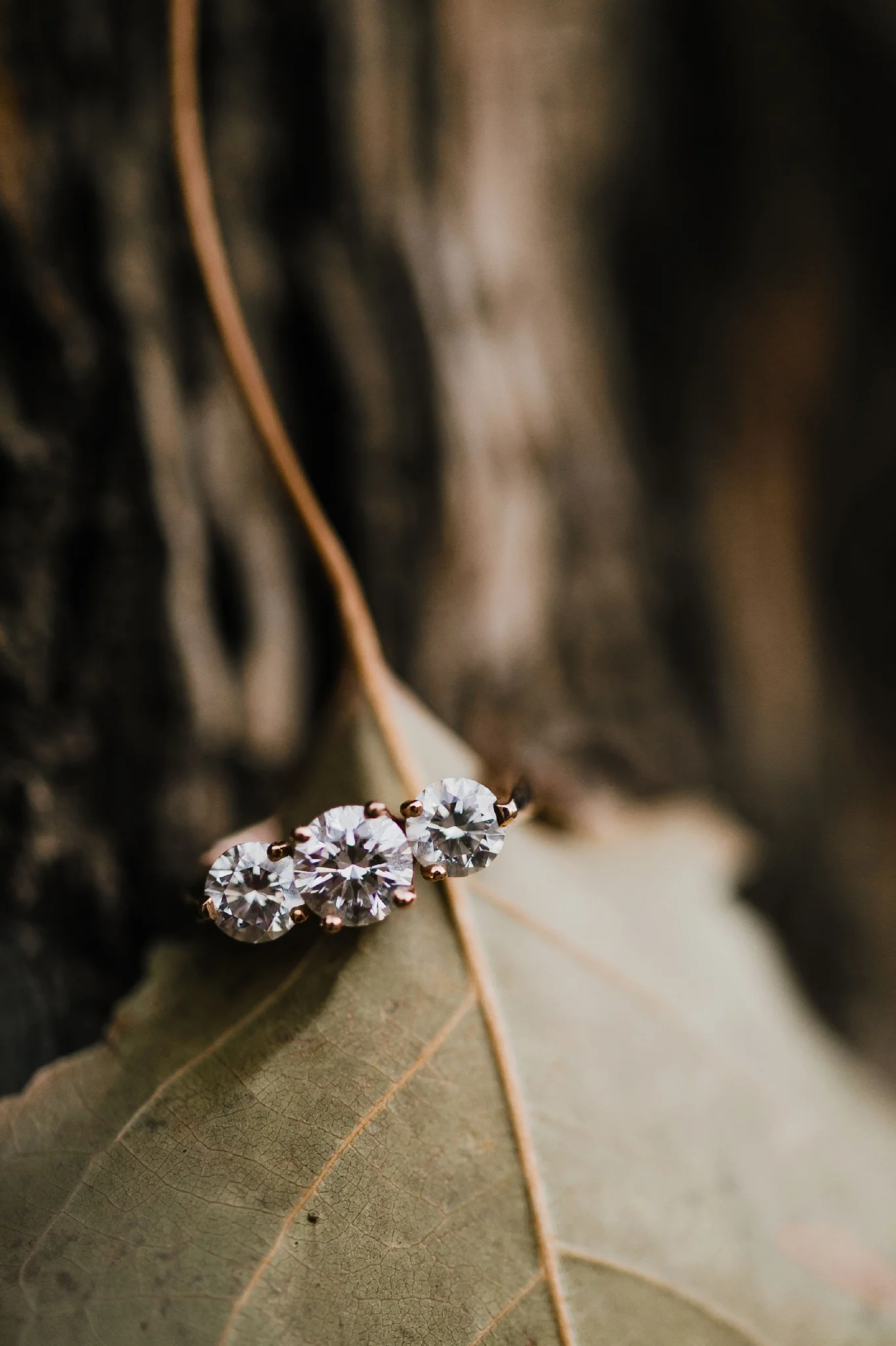 Alicia+lucia+photography+-+albuquerque+wedding+photographer+-+santa+fe+wedding+photography+-+new+mexico+wedding+photographer+-+new+mexico+wedding+-+engagement+-+santa+fe+engagement+-+new+mexico+engagement_0029.jpg
