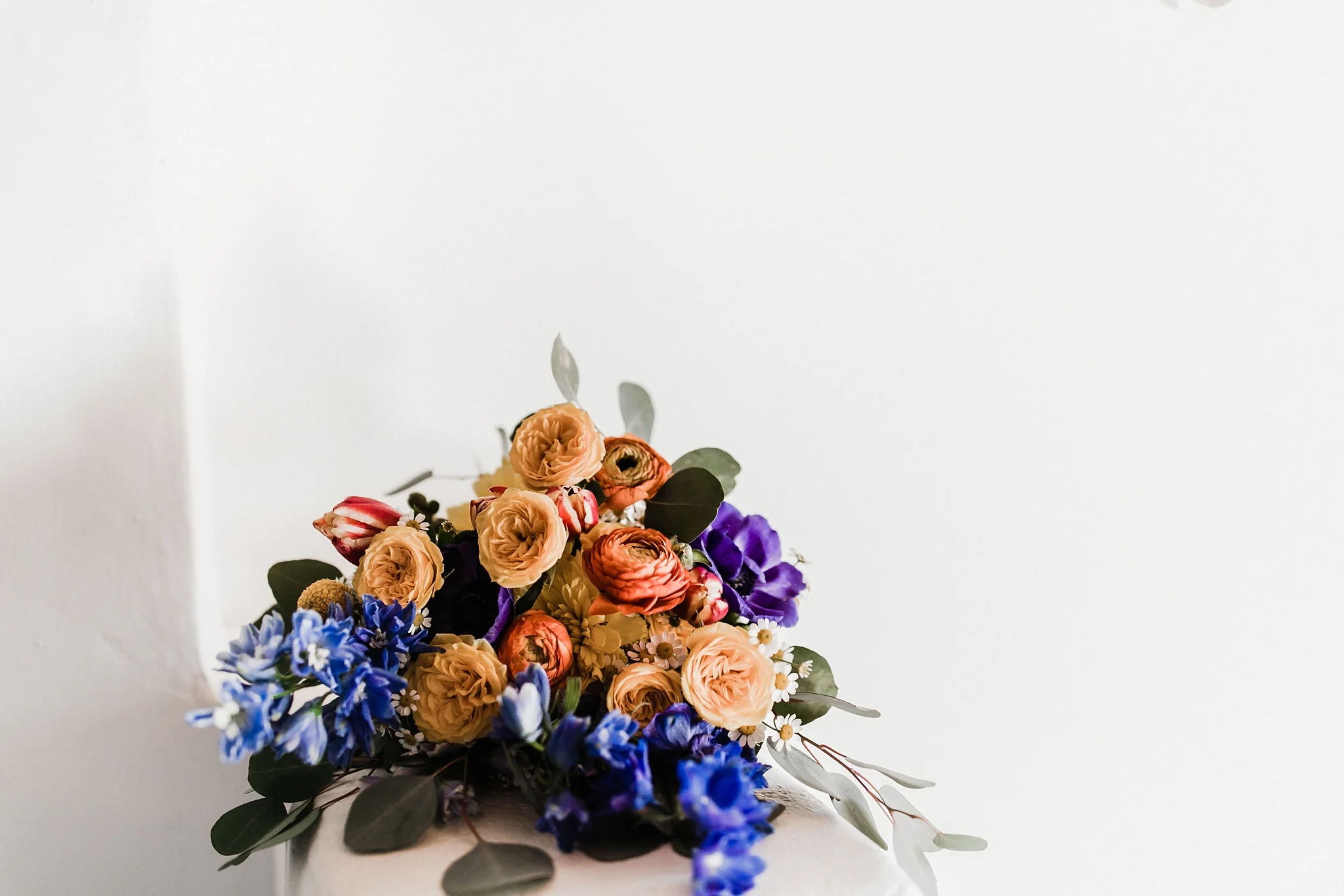 Alicia+lucia+photography+-+albuquerque+wedding+photographer+-+santa+fe+wedding+photography+-+new+mexico+wedding+photographer+-+new+mexico+wedding+-+wedding+photographer+-+wedding+photographer+team_0119.jpg