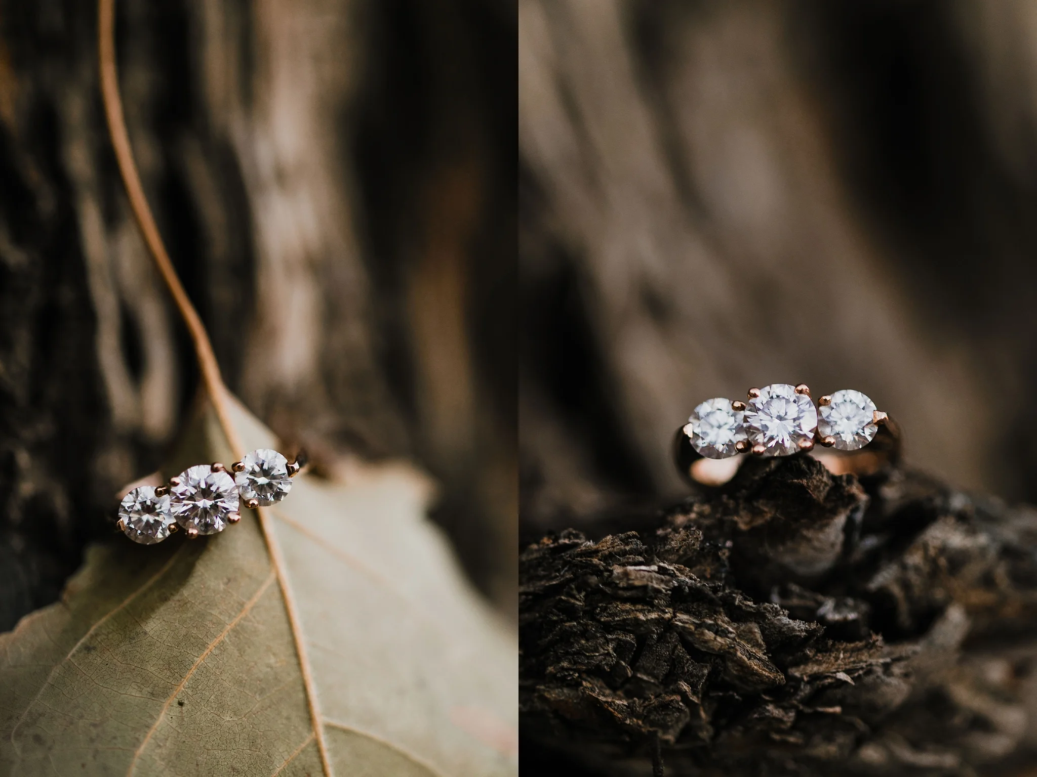 Alicia+lucia+photography+-+albuquerque+wedding+photographer+-+santa+fe+wedding+photography+-+new+mexico+wedding+photographer+-+new+mexico+wedding+-+santa+fe+wedding+-+albuquerque+wedding+-+wedding+rings+-+engagement+rings_0002.jpg