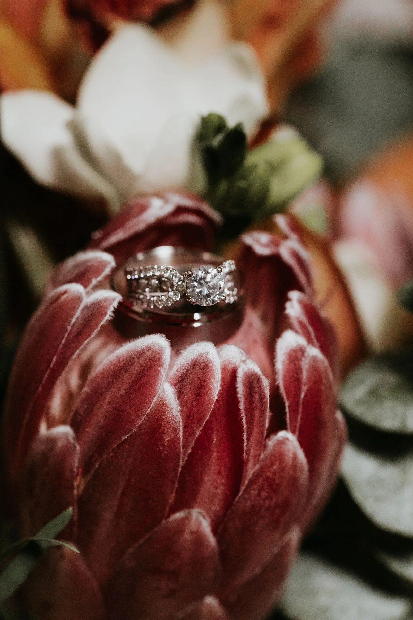 Alicia+lucia+photography+-+albuquerque+wedding+photographer+-+santa+fe+wedding+photography+-+new+mexico+wedding+photographer+-+new+mexico+wedding+-+santa+fe+wedding+-+albuquerque+wedding+-+wedding+rings+-+engagement+rings_0025.jpg
