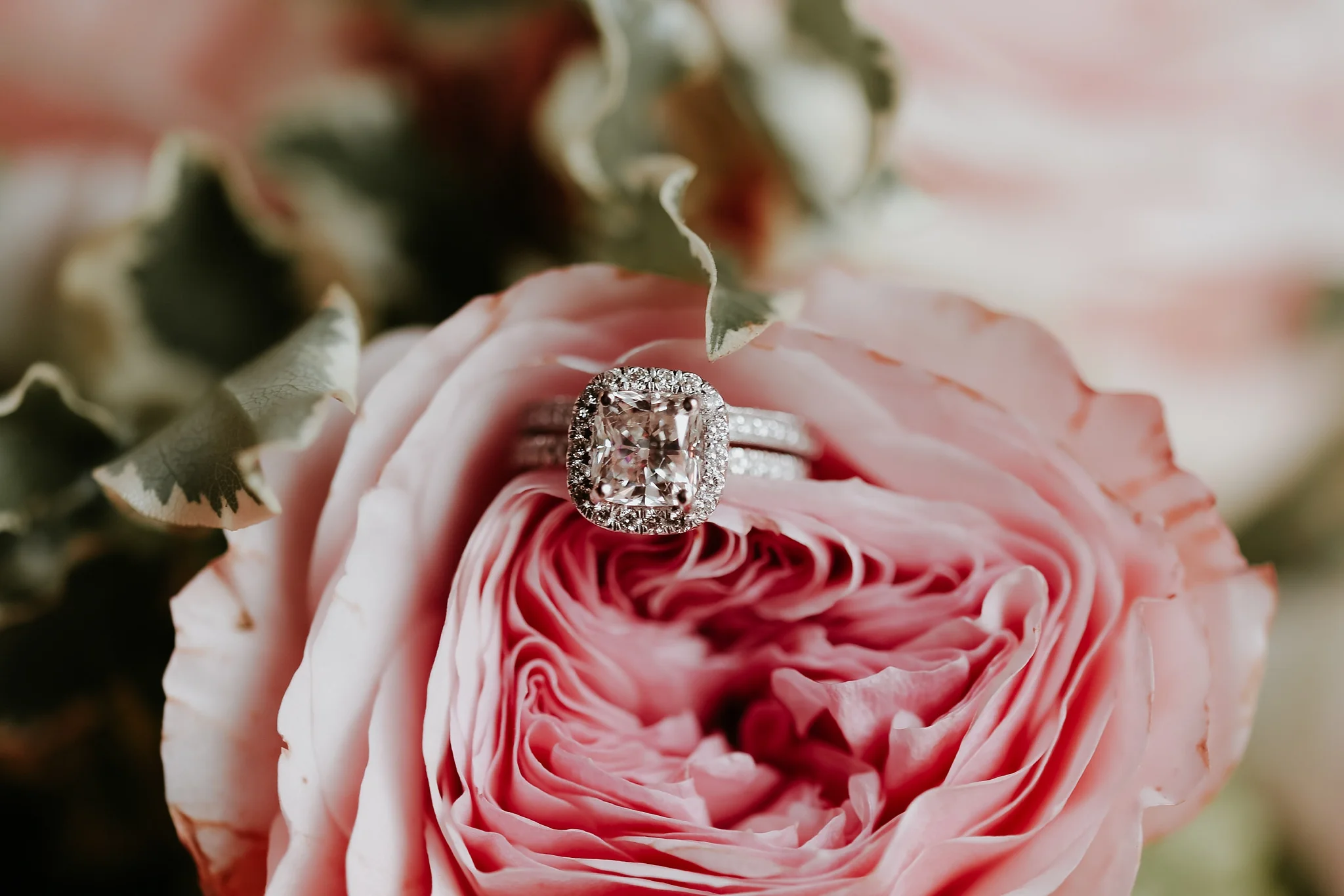 Alicia+lucia+photography+-+albuquerque+wedding+photographer+-+santa+fe+wedding+photography+-+new+mexico+wedding+photographer+-+new+mexico+wedding+-+santa+fe+wedding+-+albuquerque+wedding+-+wedding+rings+-+engagement+rings_0041.jpg