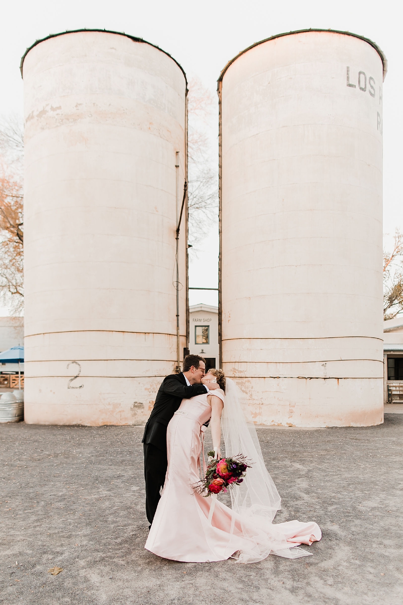 Alicia+lucia+photography+-+albuquerque+wedding+photographer+-+santa+fe+wedding+photography+-+new+mexico+wedding+photographer+-+new+mexico+wedding+-+albuquerque+wedding+-+los+poblanos+wedding+-+fall+wedding_0053.jpg