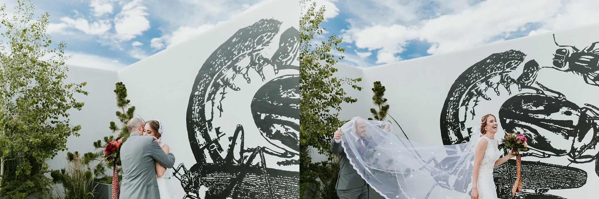 Alicia+lucia+photography+-+albuquerque+wedding+photographer+-+santa+fe+wedding+photography+-+new+mexico+wedding+photographer+-+new+mexico+wedding+-+wedding+venues+-+new+mexico+wedding+venues+-+colorado+wedding+venues_0049.jpg