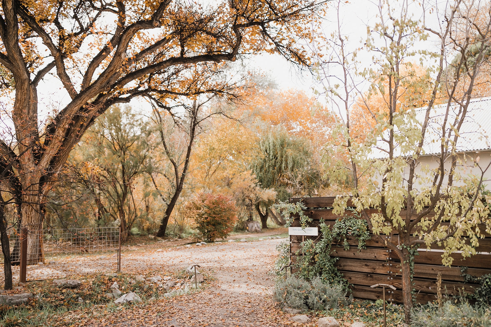 Alicia+lucia+photography+-+albuquerque+wedding+photographer+-+santa+fe+wedding+photography+-+new+mexico+wedding+photographer+-+new+mexico+wedding+-+albuquerque+wedding+-+rocky+mountain+bride+-+los+poblanos+wedding_0001.jpg