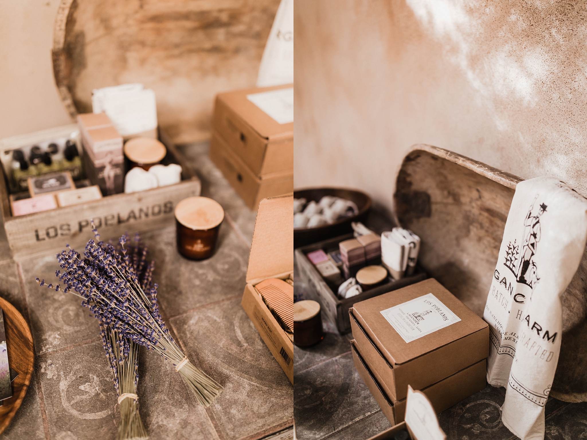 Alicia+lucia+photography+-+albuquerque+wedding+photographer+-+santa+fe+wedding+photography+-+new+mexico+wedding+photographer+-+new+mexico+wedding+-+albuquerque+wedding+-+rocky+mountain+bride+-+los+poblanos+wedding_0057.jpg