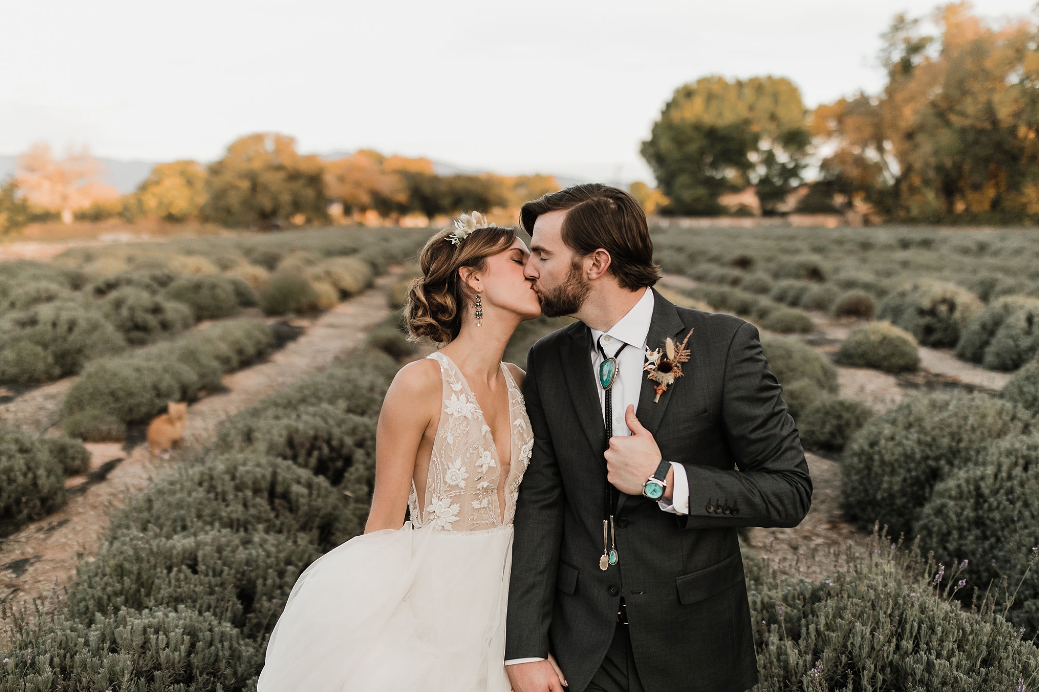 Alicia+lucia+photography+-+albuquerque+wedding+photographer+-+santa+fe+wedding+photography+-+new+mexico+wedding+photographer+-+new+mexico+wedding+-+albuquerque+wedding+-+rocky+mountain+bride+-+los+poblanos+wedding_0097.jpg
