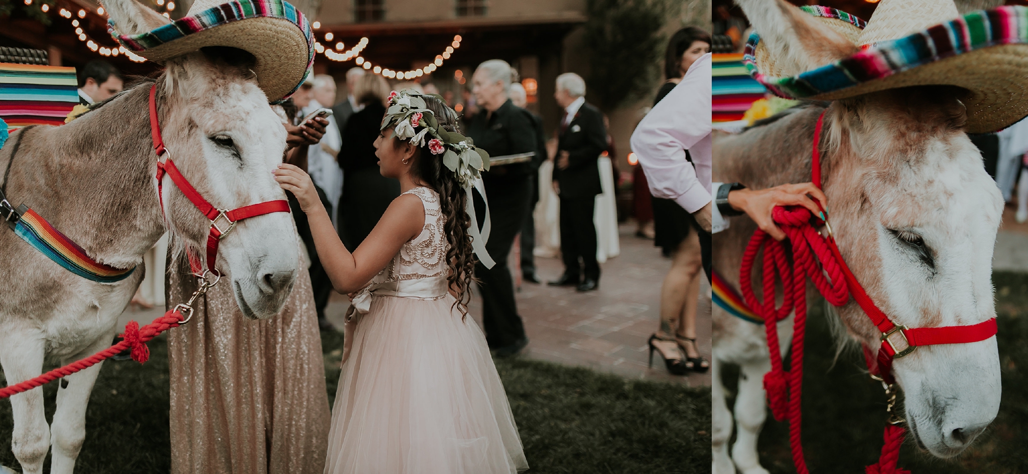 Alicia+lucia+photography+-+albuquerque+wedding+photographer+-+santa+fe+wedding+photography+-+new+mexico+wedding+photographer+-+new+mexico+wedding+-+santa+fe+wedding+-+albuquerque+wedding+-+southwest+wedding+traditions_0022.jpg