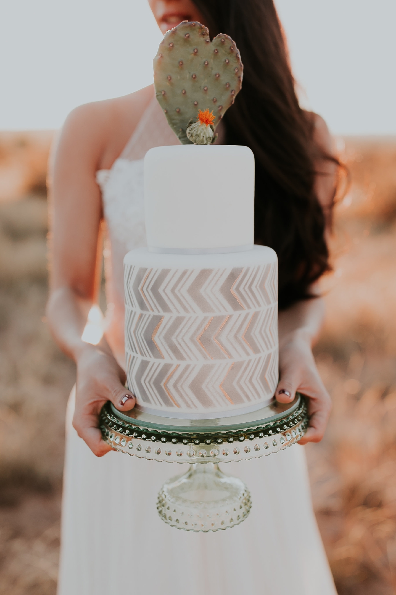 Alicia+lucia+photography+-+albuquerque+wedding+photographer+-+santa+fe+wedding+photography+-+new+mexico+wedding+photographer+-+wedding+reception+-+wedding+cake+-+wedding+sweets+-+maggies+cakes_0023.jpg