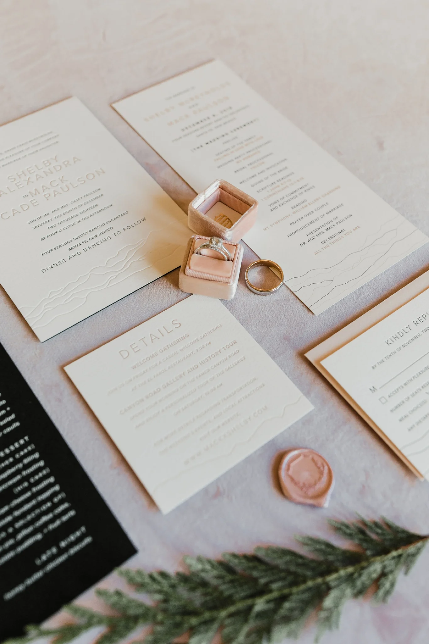Alicia+lucia+photography+-+albuquerque+wedding+photographer+-+santa+fe+wedding+photography+-+new+mexico+wedding+photographer+-+new+mexico+wedding+-+santa+fe+wedding+-+four+seasons+wedding+-+winter+wedding_0002.jpg