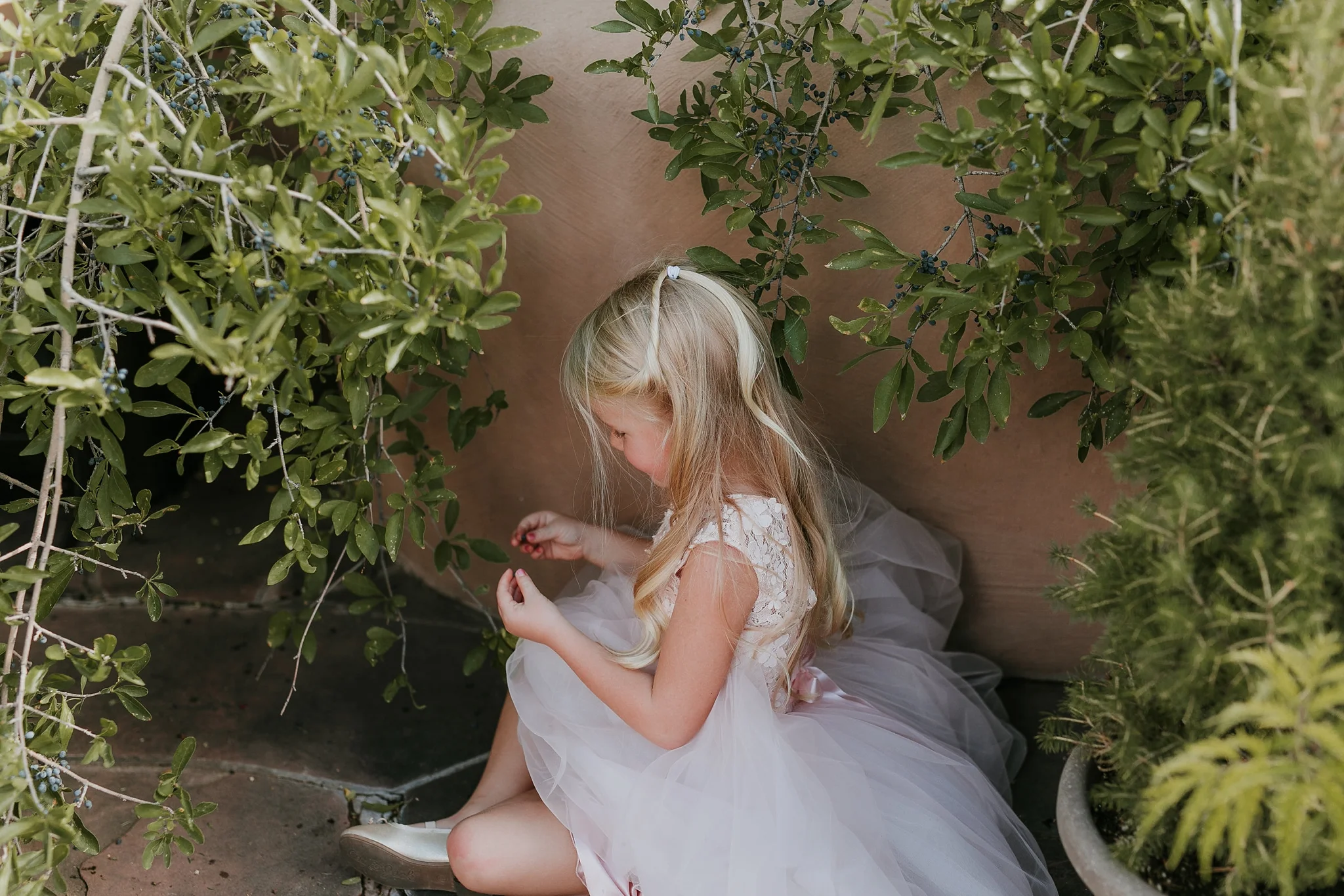 The alicia flower girl dress new arrivals