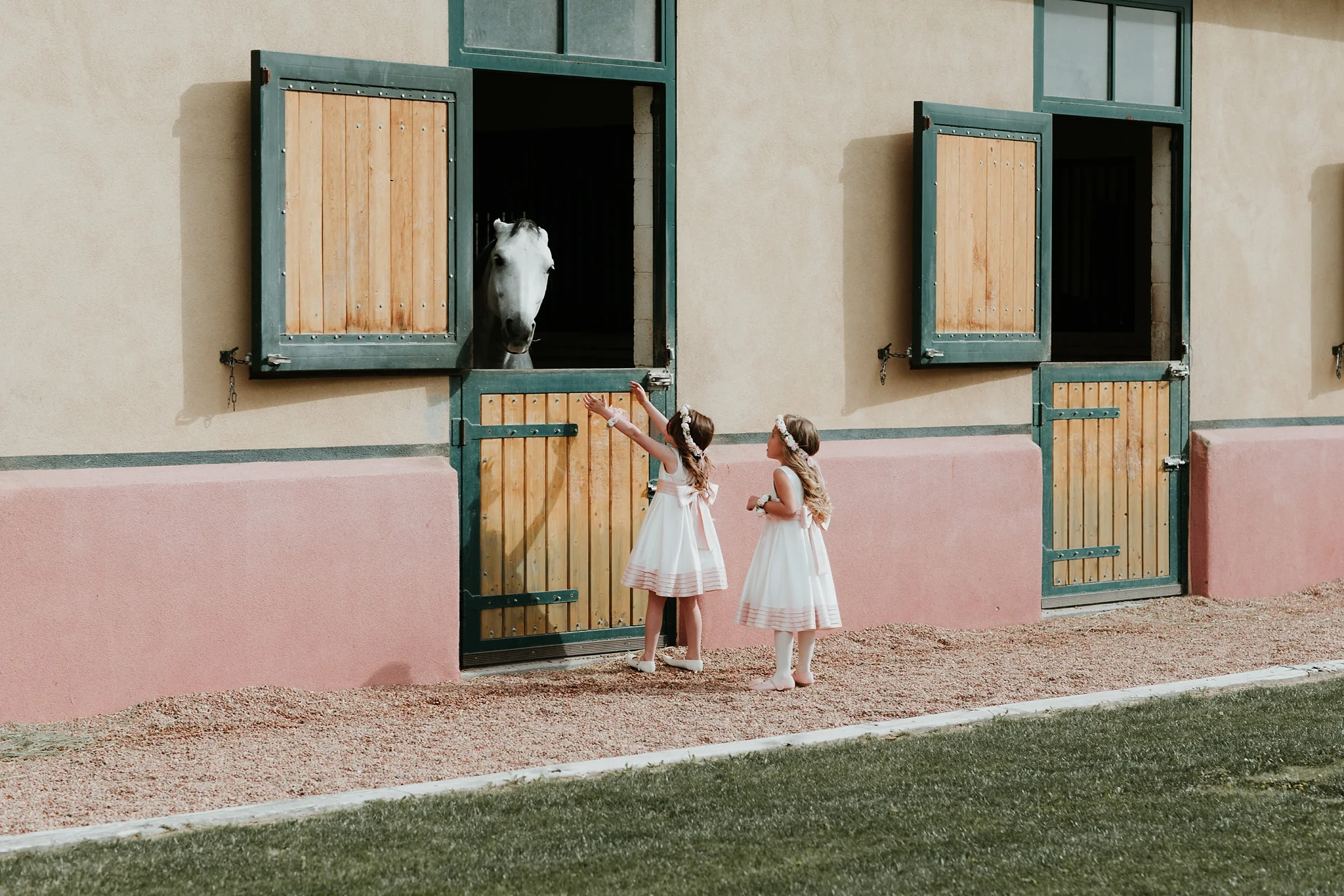 Alicia+lucia+photography+-+albuquerque+wedding+photographer+-+santa+fe+wedding+photography+-+new+mexico+wedding+photographer+-+new+mexico+wedding+-+flower+girl+-+wedding+flower+girl_0084.jpg
