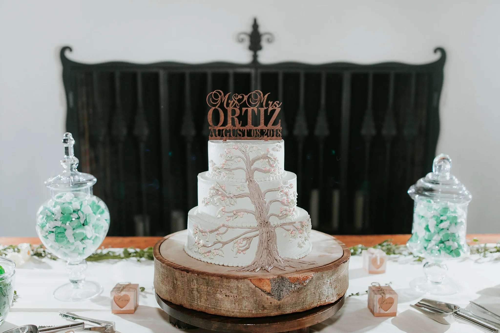 Alicia+lucia+photography+-+albuquerque+wedding+photographer+-+santa+fe+wedding+photography+-+new+mexico+wedding+photographer+-+new+mexico+wedding+-+wedding+planner+-+just+lovely+weddings+-+new+mexico+wedding+planner_0086.jpg