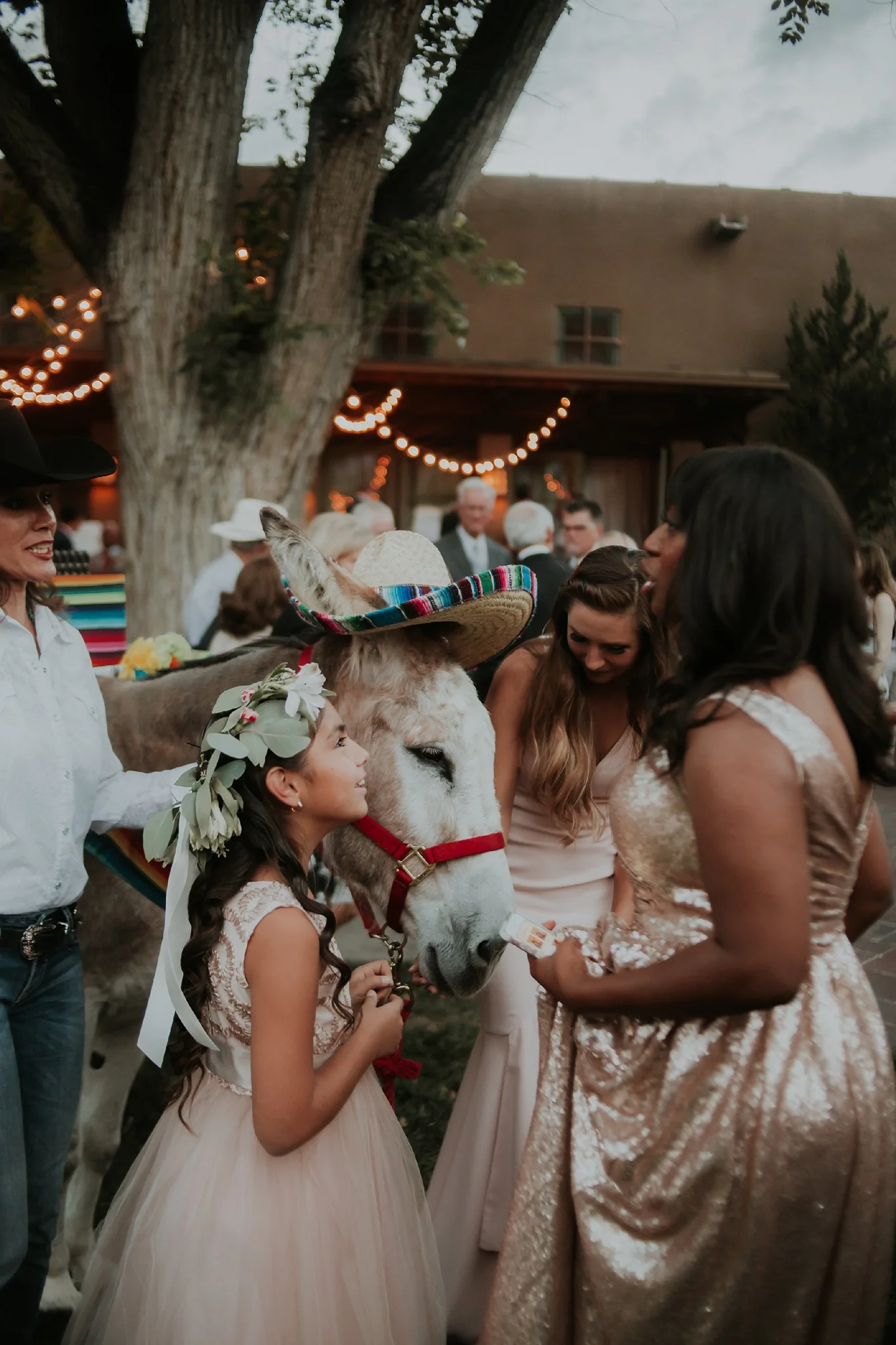 Alicia+lucia+photography+-+albuquerque+wedding+photographer+-+santa+fe+wedding+photography+-+new+mexico+wedding+photographer+-+new+mexico+wedding+-+wedding+planner+-+just+lovely+weddings+-+new+mexico+wedding+planner_0117.jpg