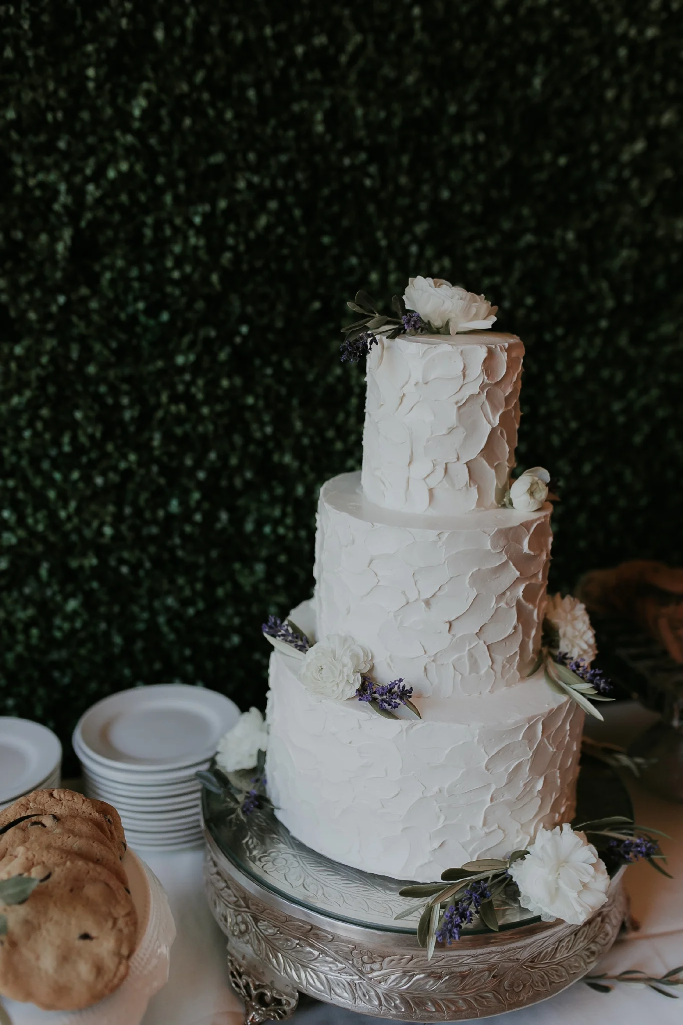 Alicia+lucia+photography+-+albuquerque+wedding+photographer+-+santa+fe+wedding+photography+-+new+mexico+wedding+photographer+-+new+mexico+wedding+-+wedding+planner+-+just+lovely+weddings+-+new+mexico+wedding+planner_0148.jpg