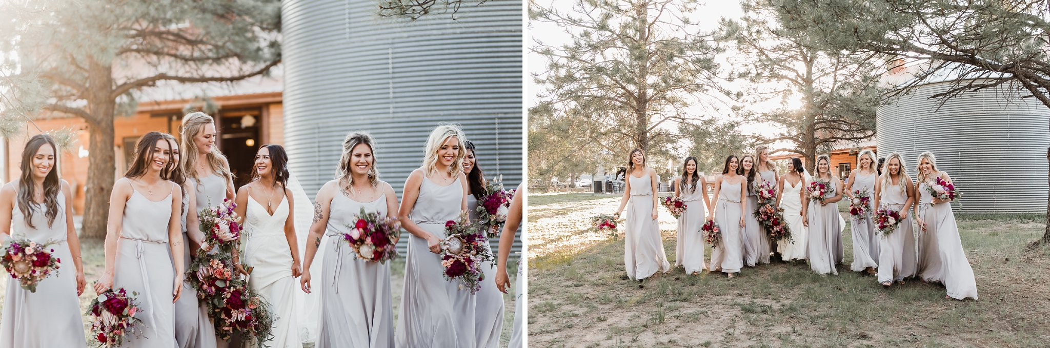 Alicia+lucia+photography+-+albuquerque+wedding+photographer+-+santa+fe+wedding+photography+-+new+mexico+wedding+photographer+-+new+mexico+wedding+-+new+mexico+wedding+-+barn+wedding+-+enchanted+vine+barn+wedding+-+ruidoso+wedding_0120.jpg