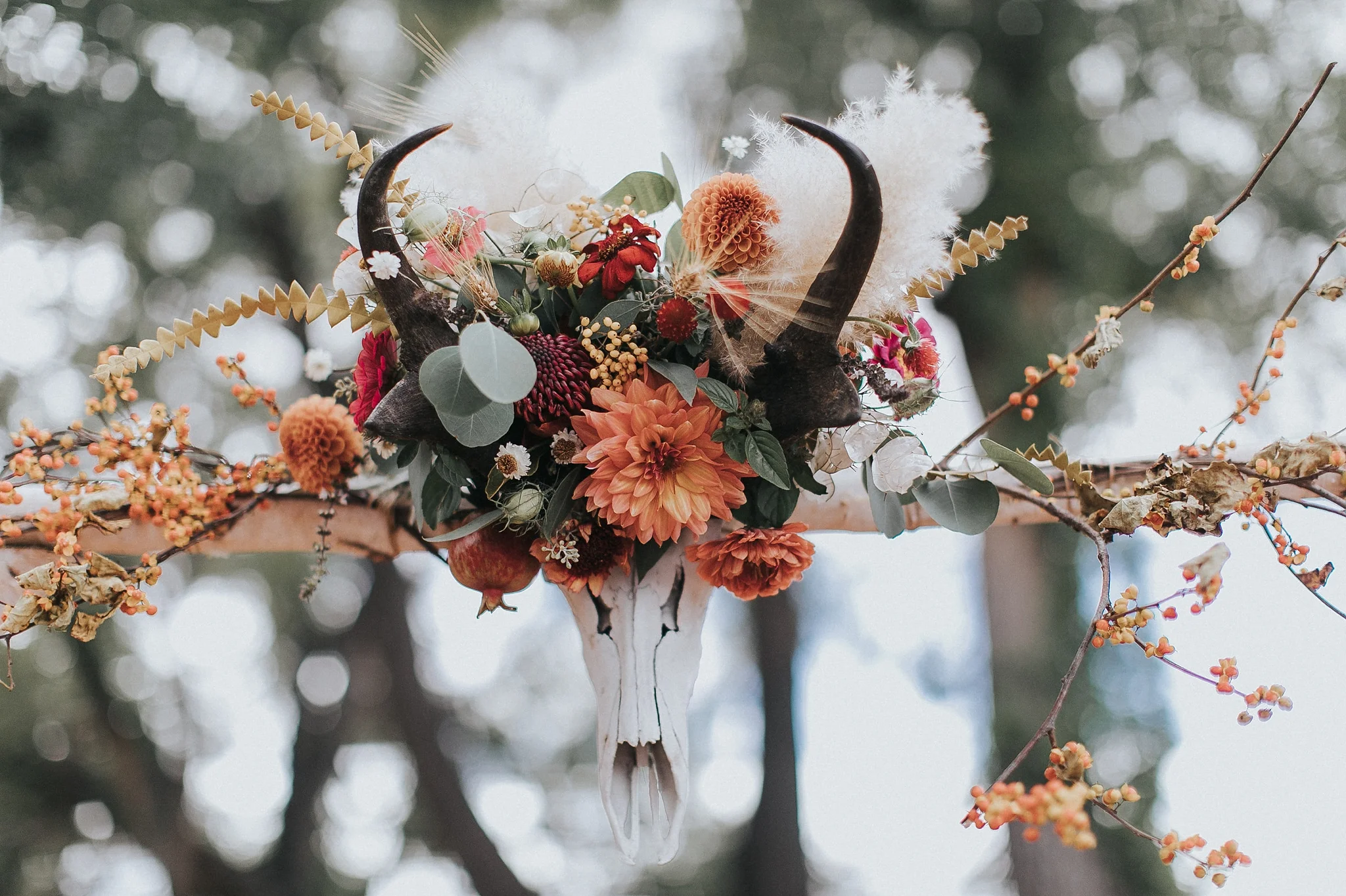 Alicia+lucia+photography+-+albuquerque+wedding+photographer+-+santa+fe+wedding+photography+-+new+mexico+wedding+photographer+-+new+mexico+wedding+-+new+mexico+wedding+-+wedding+florals+-+desert+wedding+-+wedding+trends_0065.jpg
