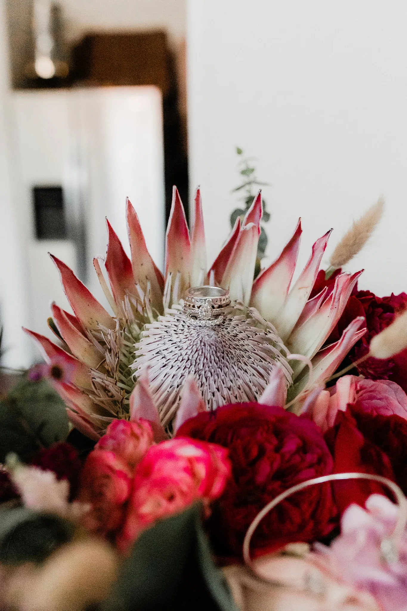 Alicia+lucia+photography+-+albuquerque+wedding+photographer+-+santa+fe+wedding+photography+-+new+mexico+wedding+photographer+-+new+mexico+wedding+-+new+mexico+wedding+-+wedding+florals+-+desert+wedding+-+wedding+trends_0075.jpg