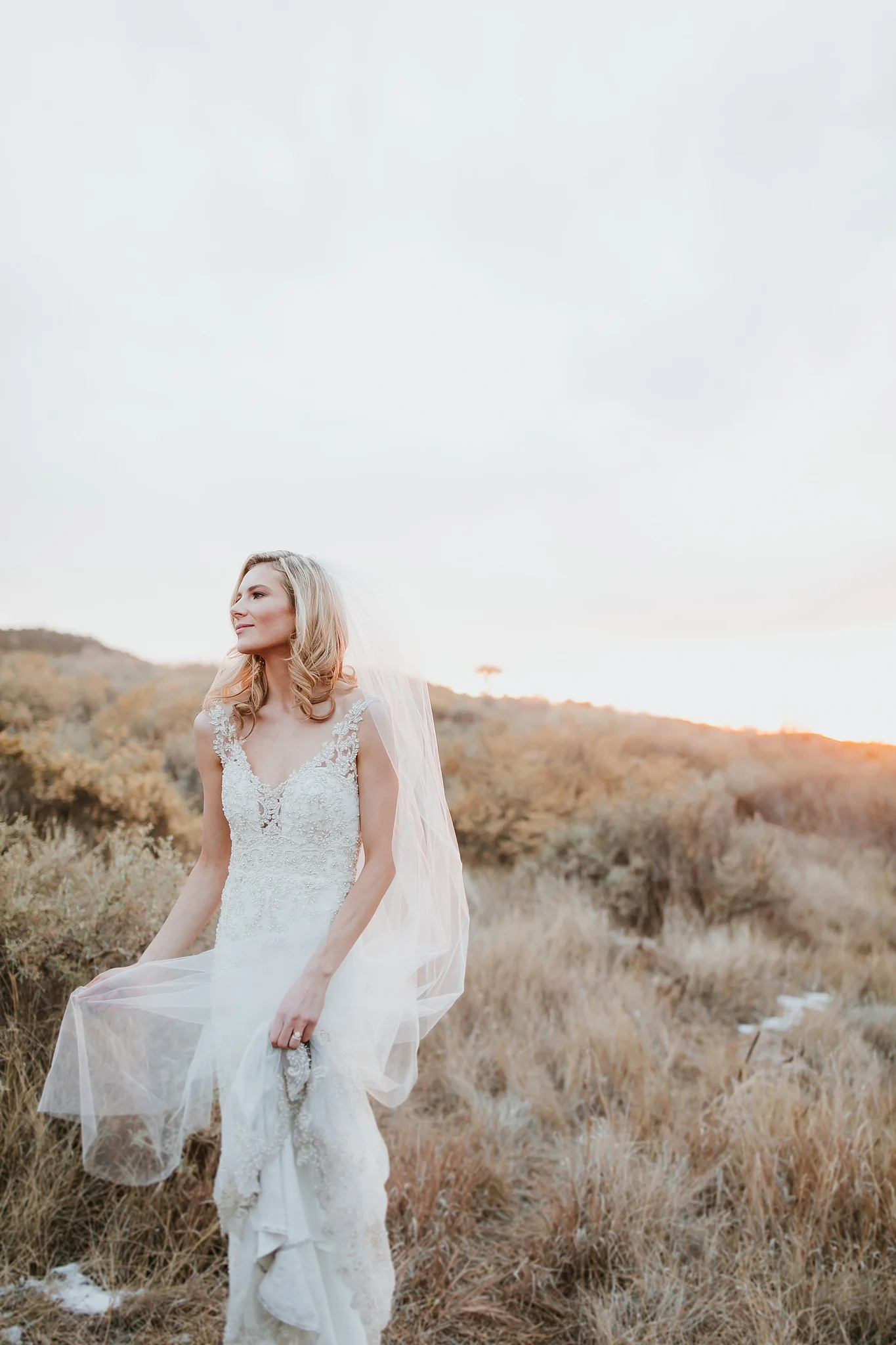 Alicia+lucia+photography+-+albuquerque+wedding+photographer+-+santa+fe+wedding+photography+-+new+mexico+wedding+photographer+-+new+mexico+wedding+-+new+mexico+wedding+-+albuquerque+wedding+-+casa+perea+wedding+-+summer+wedding_0066.jpg