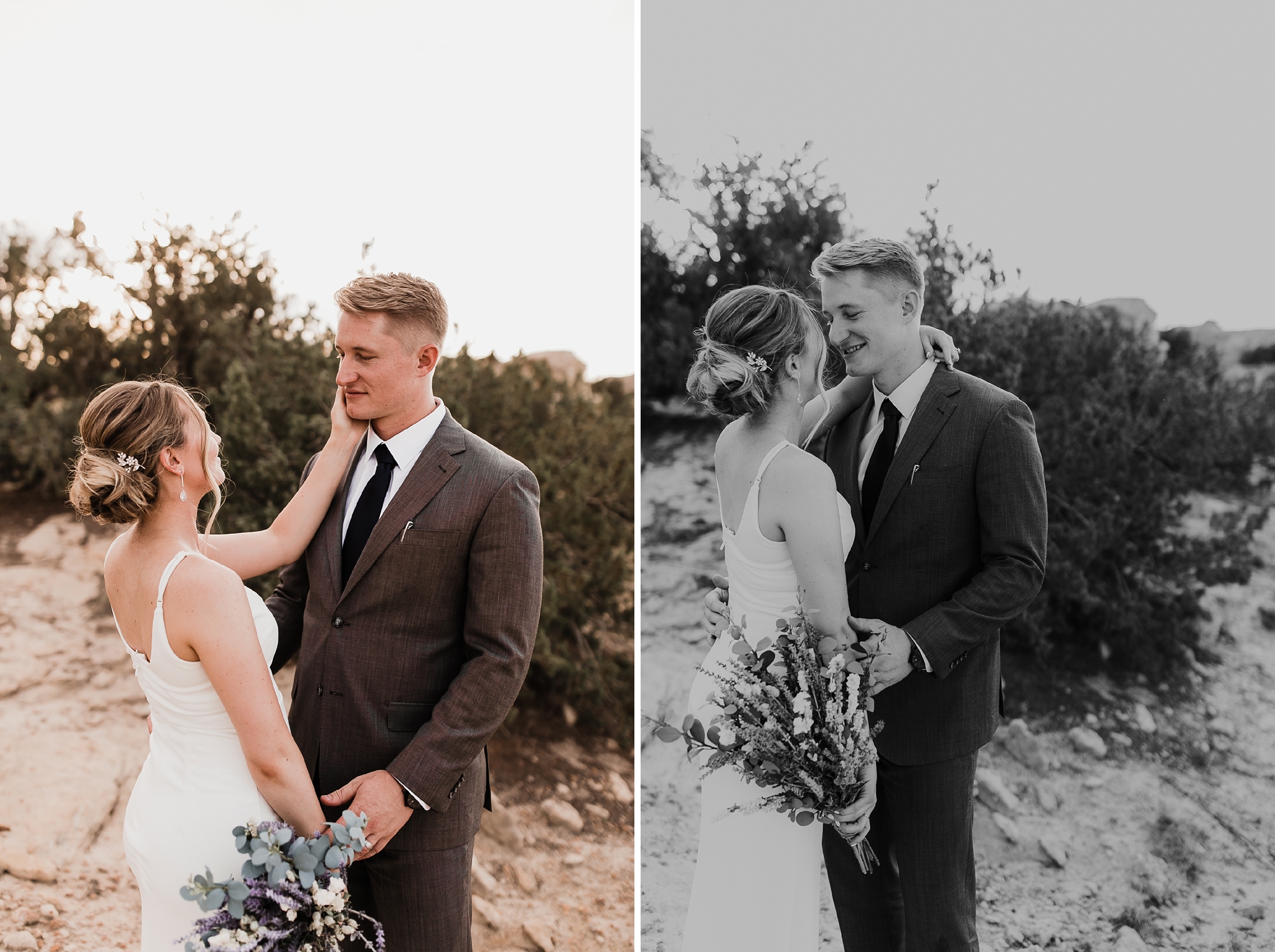 Alicia+lucia+photography+-+albuquerque+wedding+photographer+-+santa+fe+wedding+photography+-+new+mexico+wedding+photographer+-+new+mexico+wedding+-+new+mexico+elopement+-+elopment+-+mountain+elopement_0006.jpg