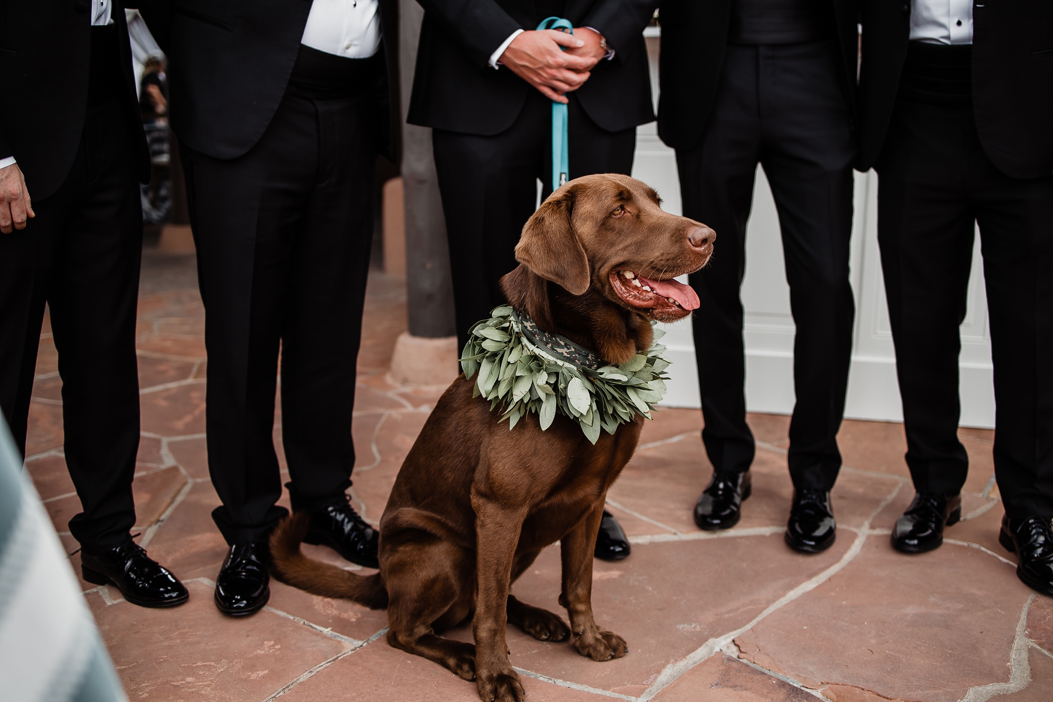 Alicia+lucia+photography+-+albuquerque+wedding+photographer+-+santa+fe+wedding+photography+-+new+mexico+wedding+photographer+-+new+mexico+wedding+-+las+campanas+wedding+-+santa+fe+wedding+-+maximalist+wedding+-+destination+wedding_0043.jpg