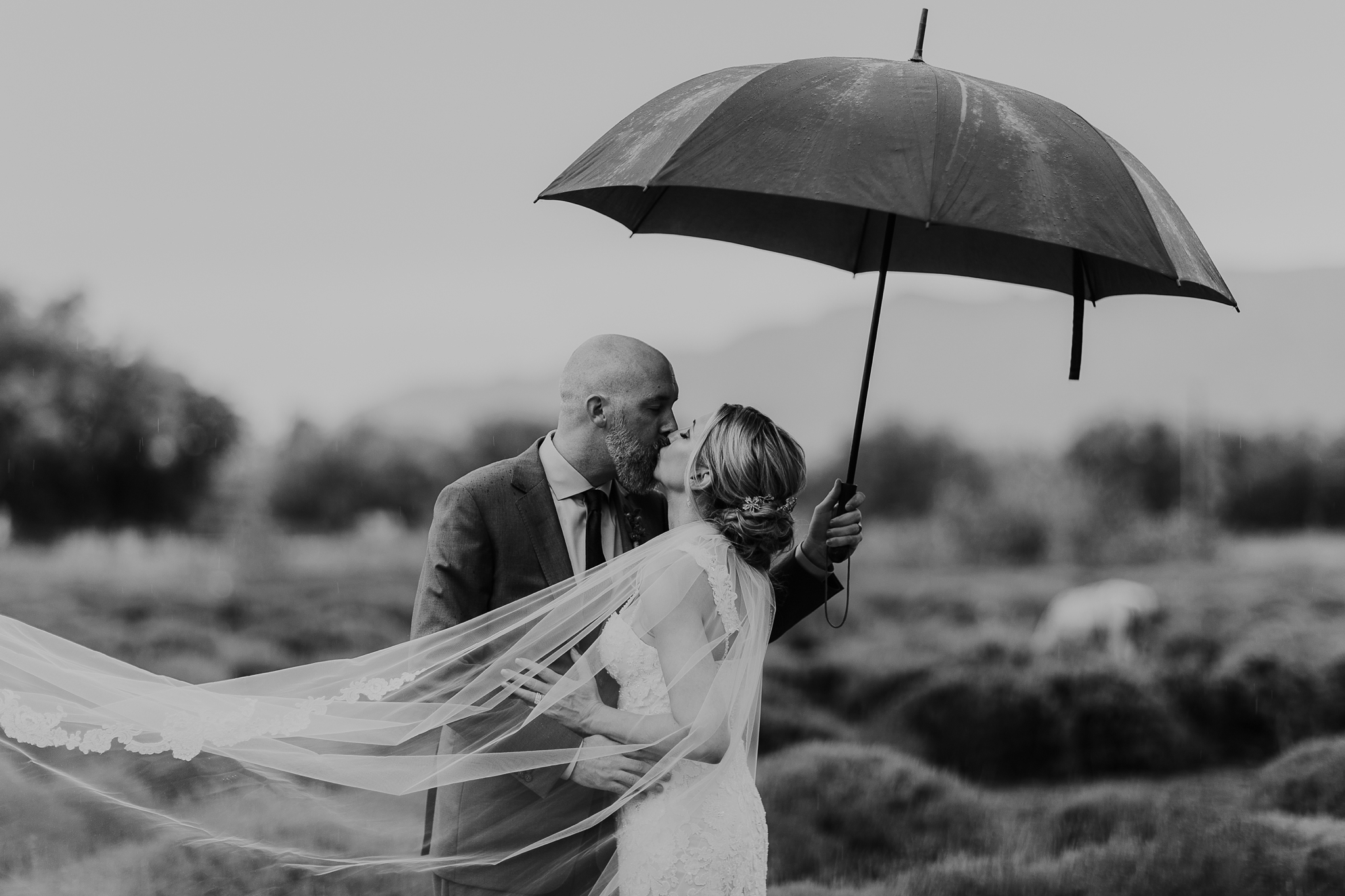 Alicia+lucia+photography+-+albuquerque+wedding+photographer+-+santa+fe+wedding+photography+-+new+mexico+wedding+photographer+-+new+mexico+wedding+-+los+poblanos+wedding+-+summer+wedding+-+rainy+wedding+-+albuquerque+wedding_0073.jpg