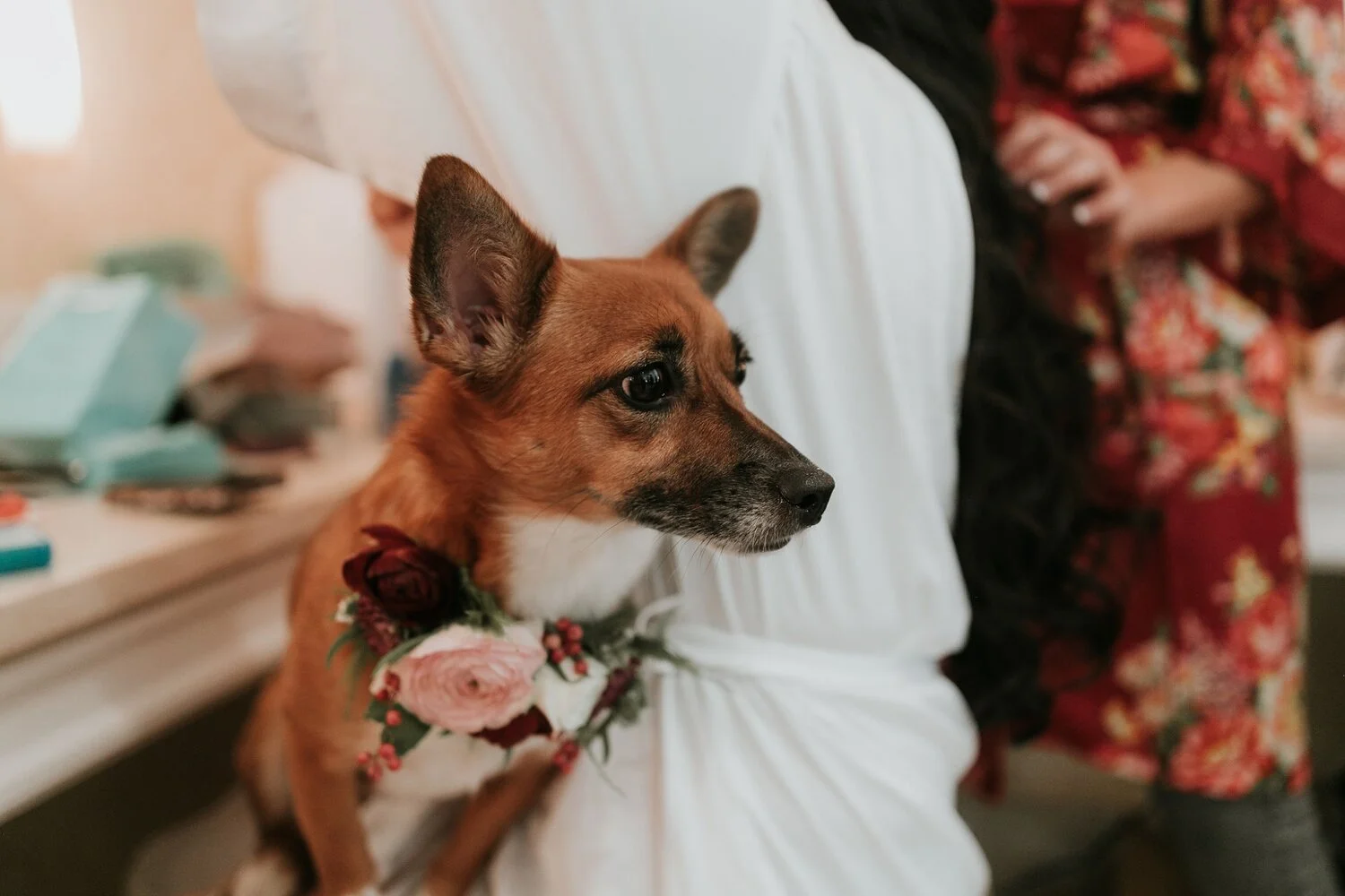 Alicia+lucia+photography+-+albuquerque+wedding+photographer+-+santa+fe+wedding+photography+-+new+mexico+wedding+photographer+-+new+mexico+wedding+-+fall+wedding+-+fall+wedding+florals+-+wedding+florals_0079.jpg