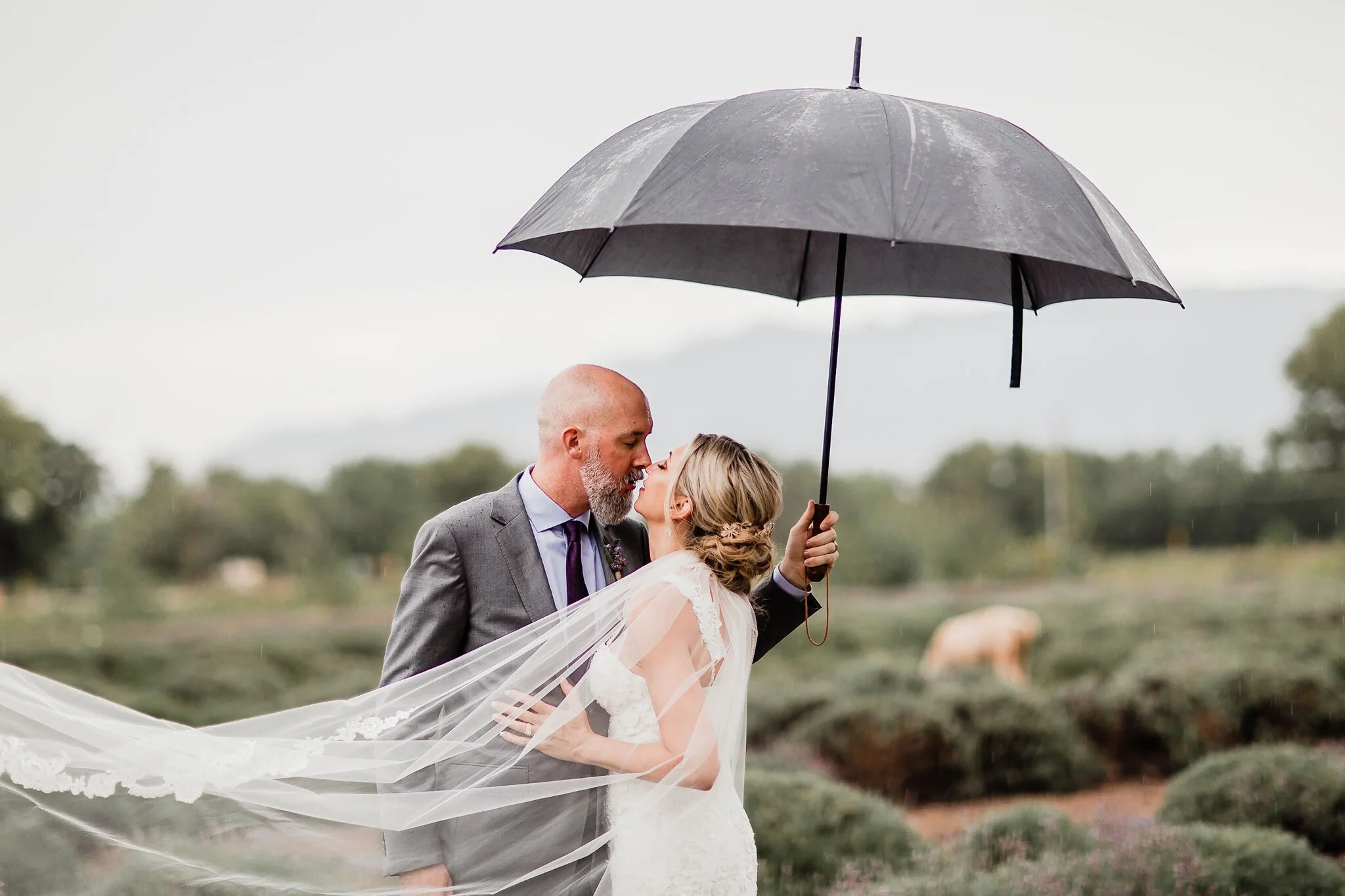 Alicia+lucia+photography+-+albuquerque+wedding+photographer+-+santa+fe+wedding+photography+-+new+mexico+wedding+photographer+-+new+mexico+wedding+-+wedding+makeup+-+wedidng+hair+-+wedding+makeup+artist+-+wedding+hair+stylist+-+drs+color+studio_0009.jpg