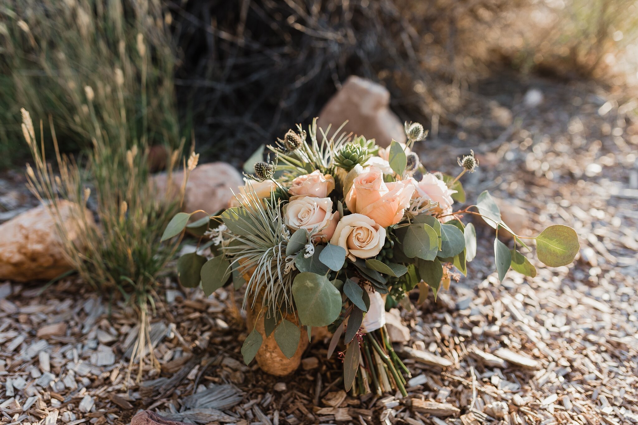 Alicia+lucia+photography+-+albuquerque+wedding+photographer+-+santa+fe+wedding+photography+-+new+mexico+wedding+photographer+-+new+mexico+wedding+-+wedding+-+santa+fe+wedding+-+ghost+ranch+-+ghost+ranch+wedding+-+fall+wedding_0014.jpg