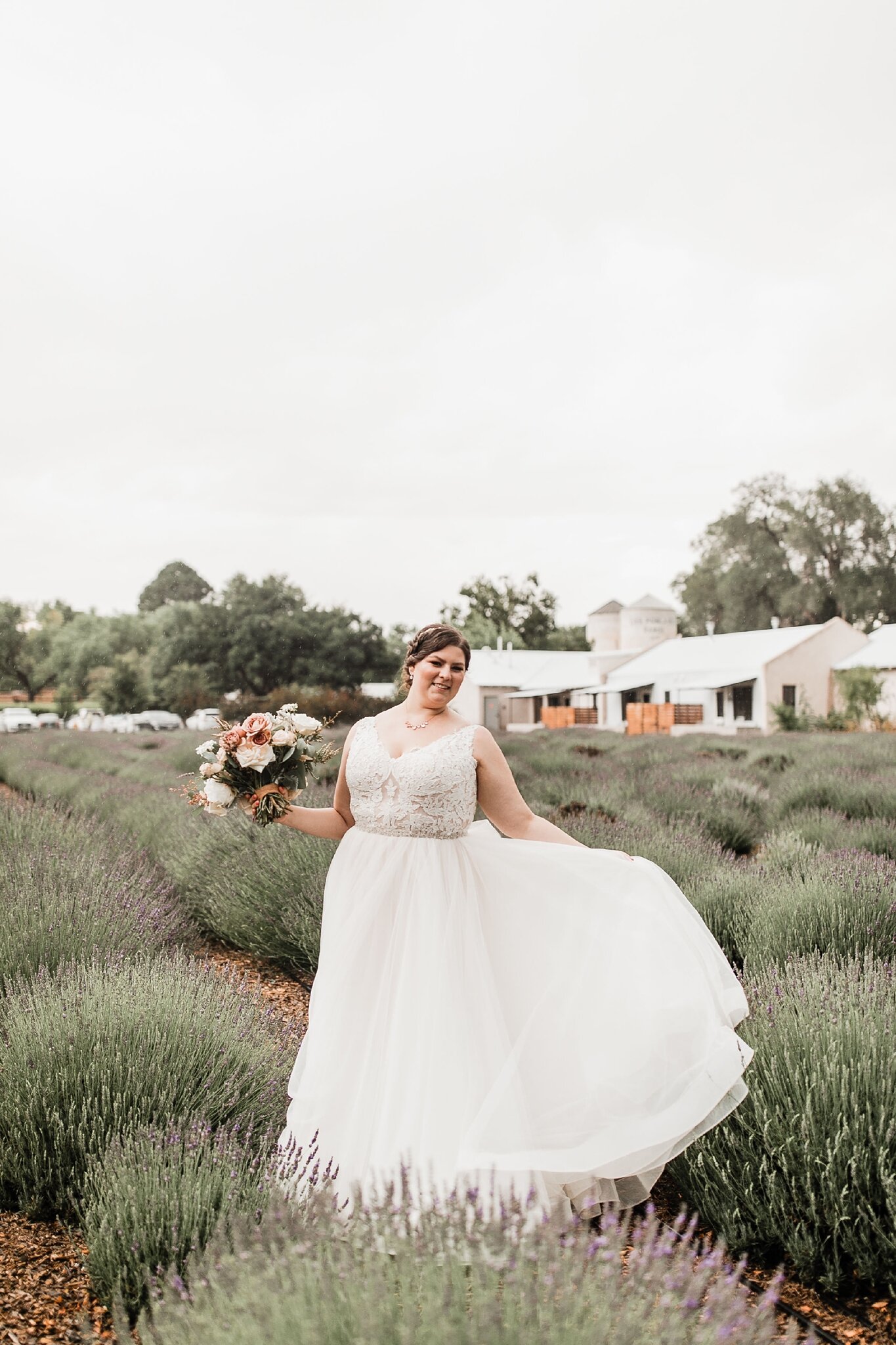 Alicia+lucia+photography+-+albuquerque+wedding+photographer+-+santa+fe+wedding+photography+-+new+mexico+wedding+photographer+-+new+mexico+wedding+-+wedding+-+bridal+gown+-+wedding+gown+-+ballgown+wedding+gown+-+ballgown+bridal+gown_0041.jpg