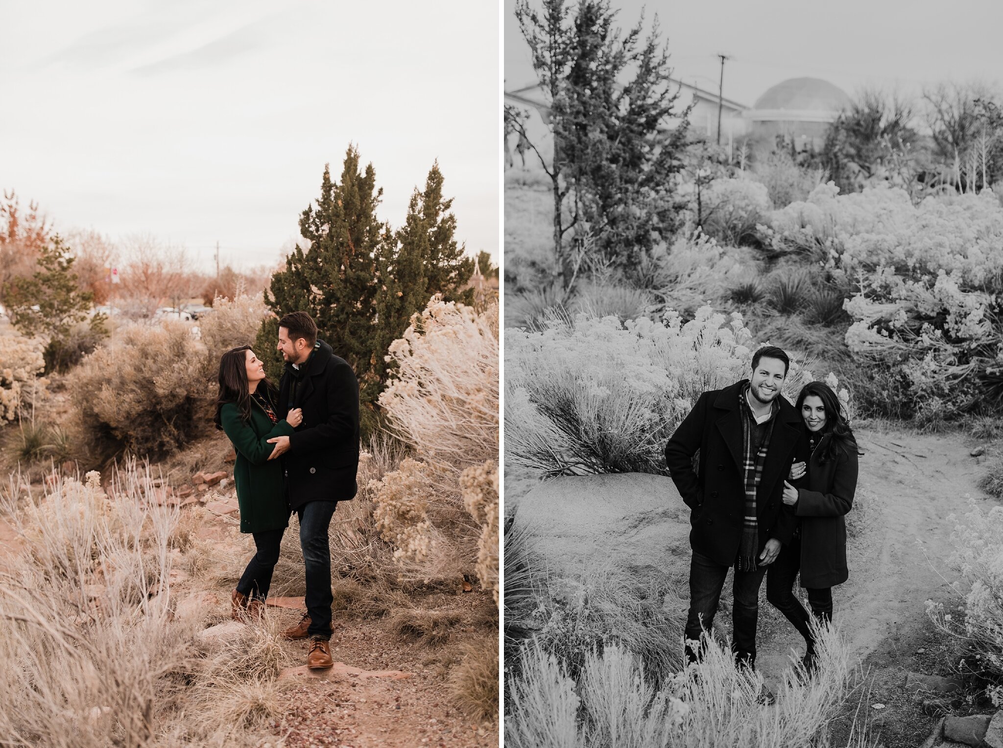 Alicia+lucia+photography+-+albuquerque+wedding+photographer+-+santa+fe+wedding+photography+-+new+mexico+wedding+photographer+-+new+mexico+wedding+-+albuquerque+engagement+-+old+town+engagement+-+christmas+engagement+-+holiday+engagement_0035.jpg