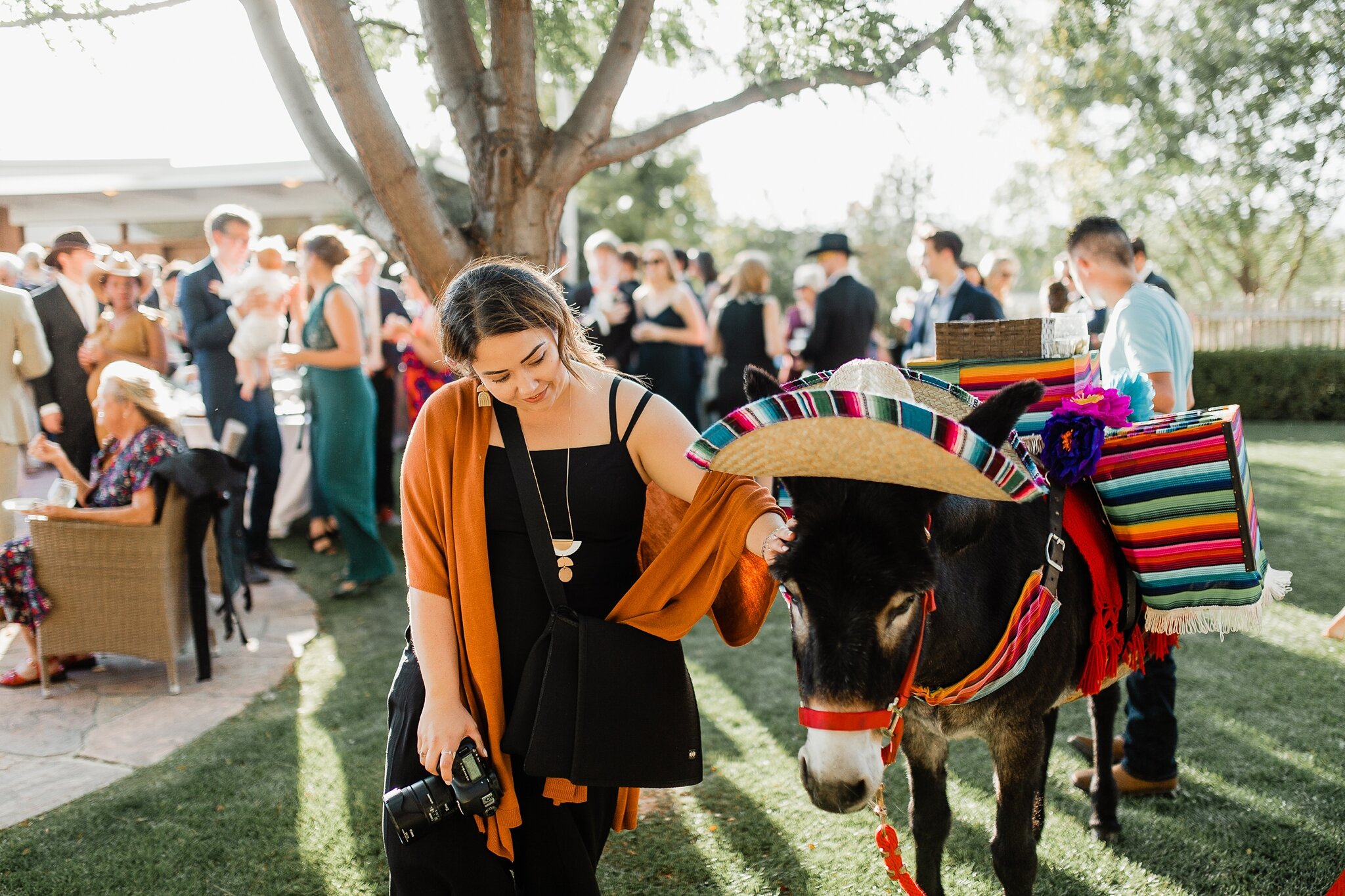 Alicia+lucia+photography+-+albuquerque+wedding+photographer+-+santa+fe+wedding+photography+-+new+mexico+wedding+photographer+-+new+mexico+wedding+-+santa+fe+wedding+-+albuquerque+wedding+-+destination+wedding+-+southwest+wedding_0001.jpg