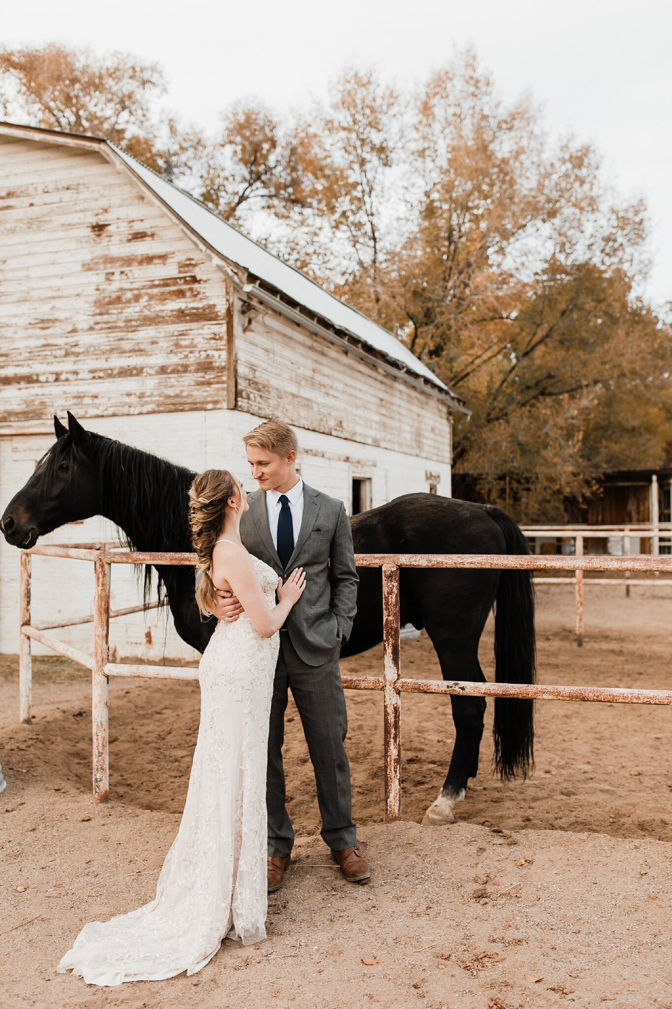 Alicia+lucia+photography+-+albuquerque+wedding+photographer+-+santa+fe+wedding+photography+-+new+mexico+wedding+photographer+-+new+mexico+wedding+-+old+town+wedding+-+old+town+farm+wedding+-+farm+wedding+-+fall+wedding_0063.jpg