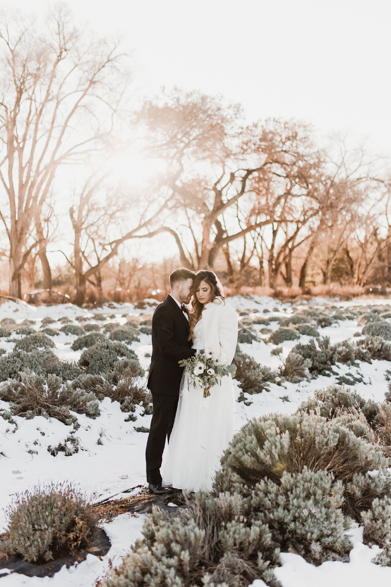 Alicia+lucia+photography+-+albuquerque+wedding+photographer+-+santa+fe+wedding+photography+-+new+mexico+wedding+photographer+-+new+mexico+wedding+-+los+poblanos+wedding+-+sandia+wedding+-+la+fonda+wedding_0054.jpg