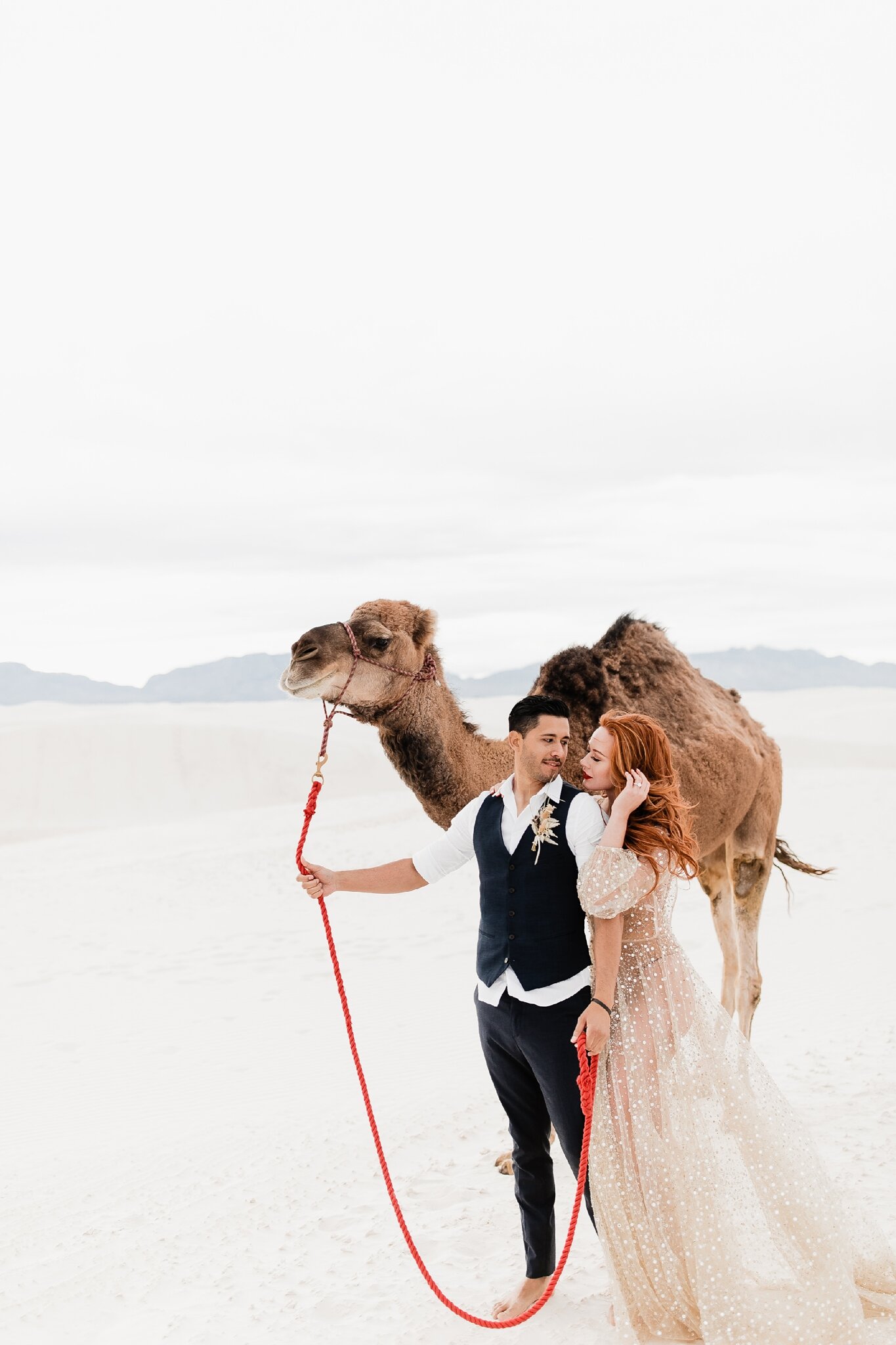 Alicia+lucia+photography+-+albuquerque+wedding+photographer+-+santa+fe+wedding+photography+-+new+mexico+wedding+photographer+-+new+mexico+wedding+-+white+sands+wedding+-+white+sands+elopement+-+styled+wedding+-+styled+elopement_0066.jpg