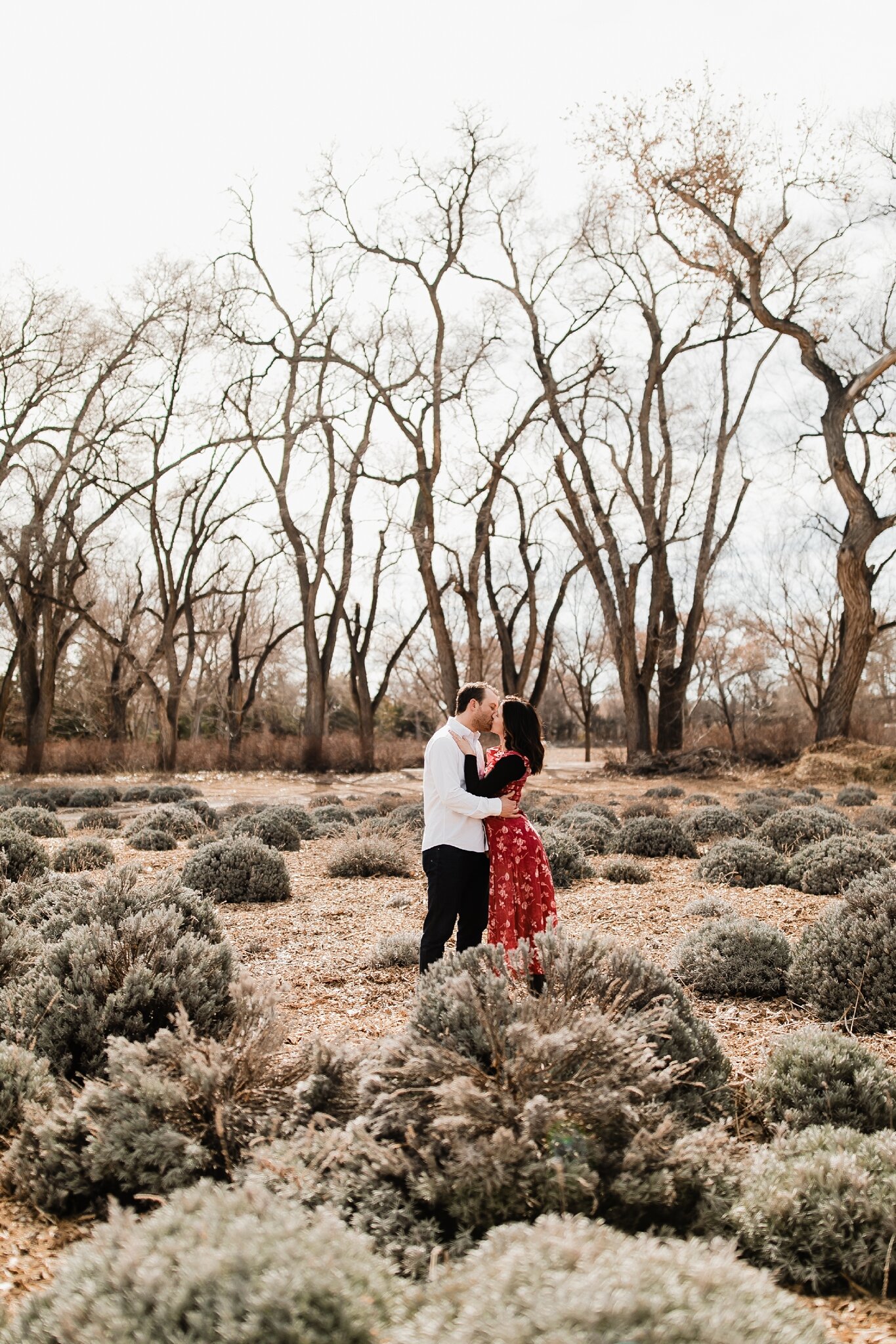 Alicia+lucia+photography+-+albuquerque+wedding+photographer+-+santa+fe+wedding+photography+-+new+mexico+wedding+photographer+-+new+mexico+wedding+-+engagement+-+new+mexico+engagement+-+winter+engagement+-+los+poblanos+engagement_0037.jpg