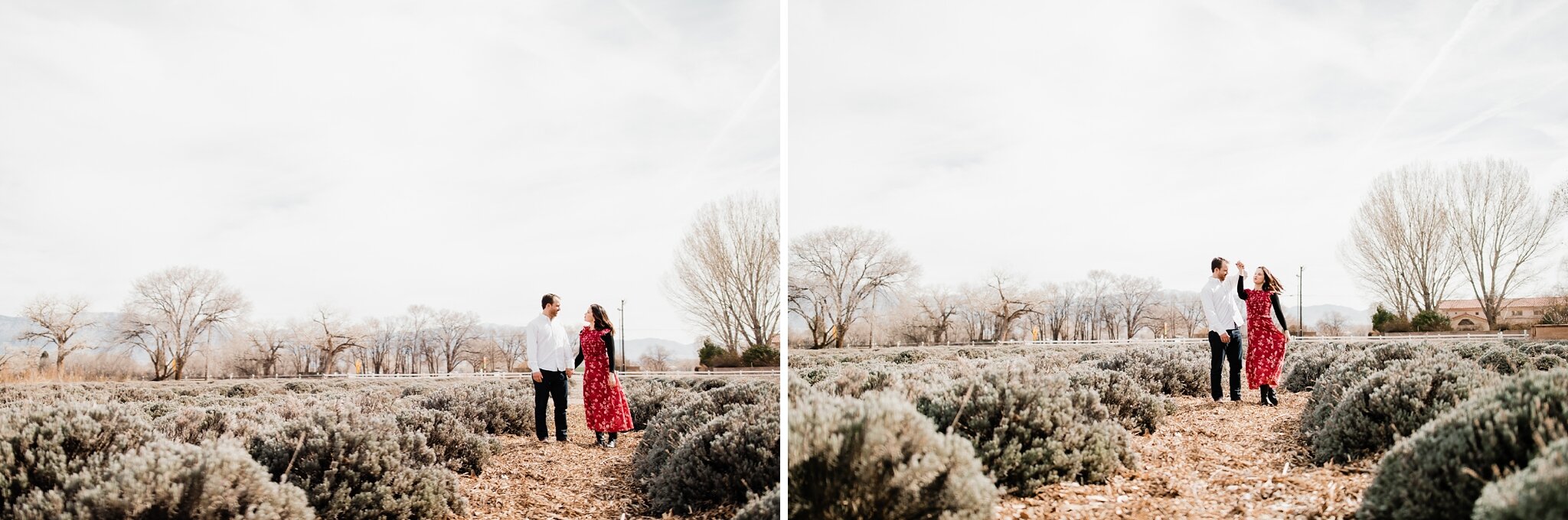 Alicia+lucia+photography+-+albuquerque+wedding+photographer+-+santa+fe+wedding+photography+-+new+mexico+wedding+photographer+-+new+mexico+wedding+-+engagement+-+new+mexico+engagement+-+winter+engagement+-+los+poblanos+engagement_0039.jpg