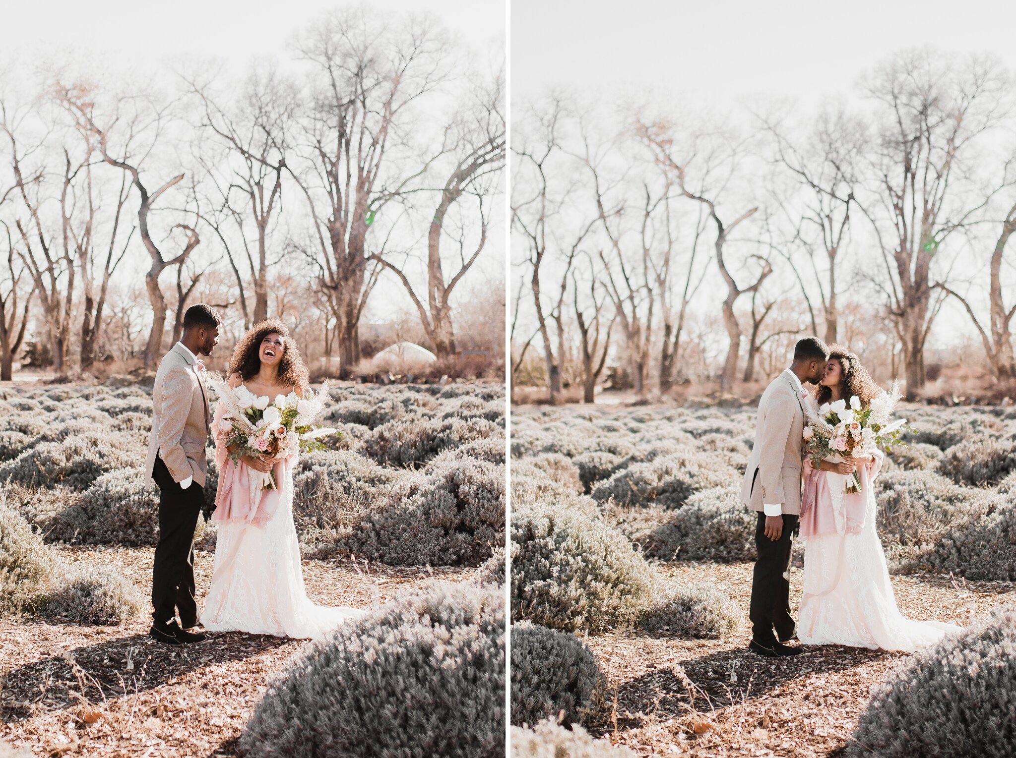 Alicia+lucia+photography+-+albuquerque+wedding+photographer+-+santa+fe+wedding+photography+-+new+mexico+wedding+photographer+-+new+mexico+wedding+-+los+poblanos+-+los+poblanos+wedding+-+mauve+wedding+-+styled+wedding+-+boho+wedding_0057.jpg