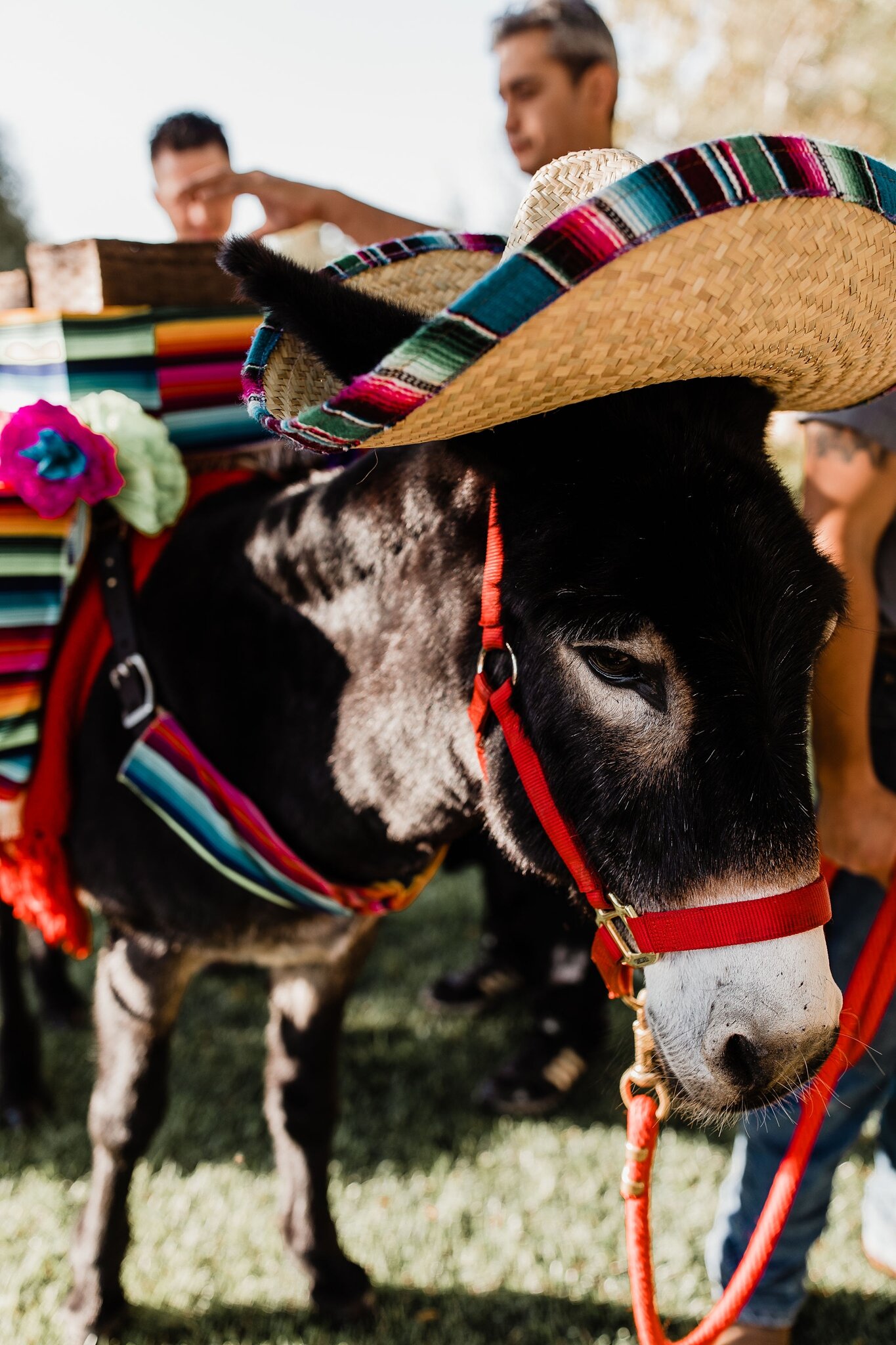 Alicia+lucia+photography+-+albuquerque+wedding+photographer+-+santa+fe+wedding+photography+-+new+mexico+wedding+photographer+-+new+mexico+wedding+-+santa+fe+wedding+-+santa+fe+wedding+traditions+-+southwest+wedding_0025.jpg