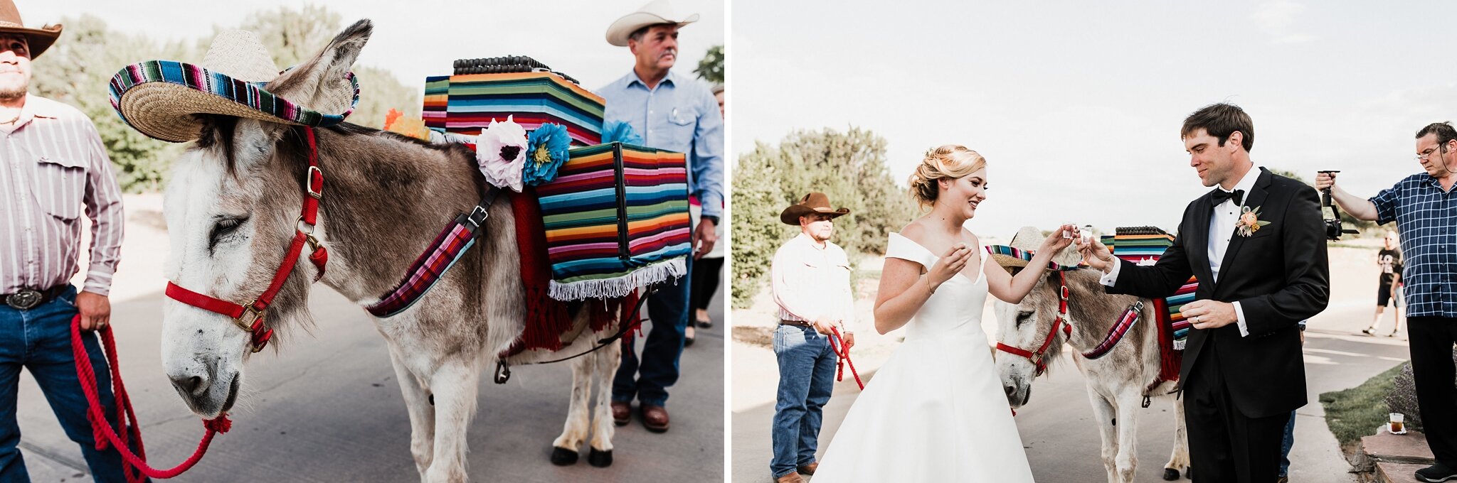 Alicia+lucia+photography+-+albuquerque+wedding+photographer+-+santa+fe+wedding+photography+-+new+mexico+wedding+photographer+-+new+mexico+wedding+-+santa+fe+wedding+-+santa+fe+wedding+traditions+-+southwest+wedding_0037.jpg