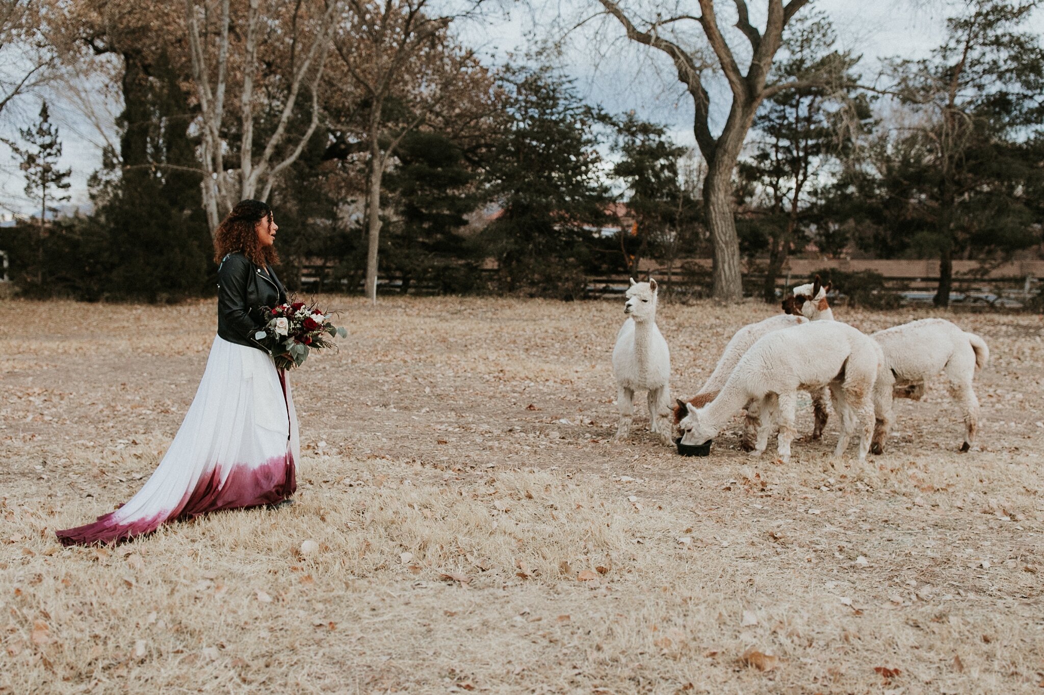 Alicia+lucia+photography+-+albuquerque+wedding+photographer+-+santa+fe+wedding+photography+-+new+mexico+wedding+photographer+-+new+mexico+wedding+-+bridal+-+bridal+session+-+new+mexico+bride_0037.jpg