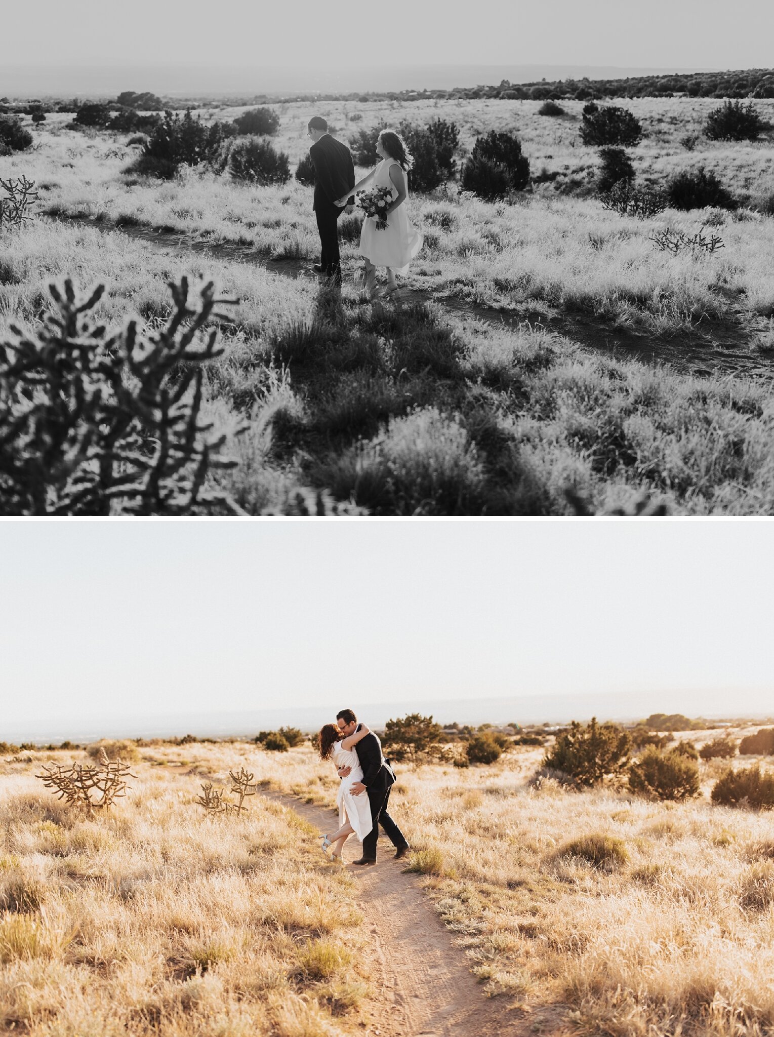 Alicia+lucia+photography+-+albuquerque+wedding+photographer+-+santa+fe+wedding+photography+-+new+mexico+wedding+photographer+-+new+mexico+wedding+-+elopement+-+new+mexico+elopement+-+albuquerque+elopement+-+desert+elopement+-+summer+elopement_0052.jpg