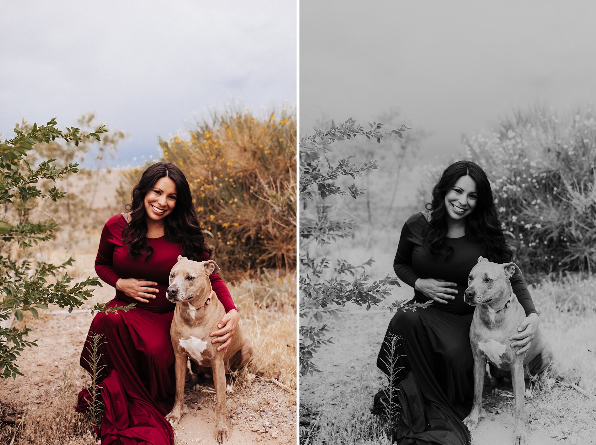 Alicia+lucia+photography+-+albuquerque+wedding+photographer+-+santa+fe+wedding+photography+-+new+mexico+wedding+photographer+-+new+mexico+wedding+-+maternity+-+new+mexico+maternity+-+albuquerque+maternity+-+santa+fe+maternity_0021.jpg