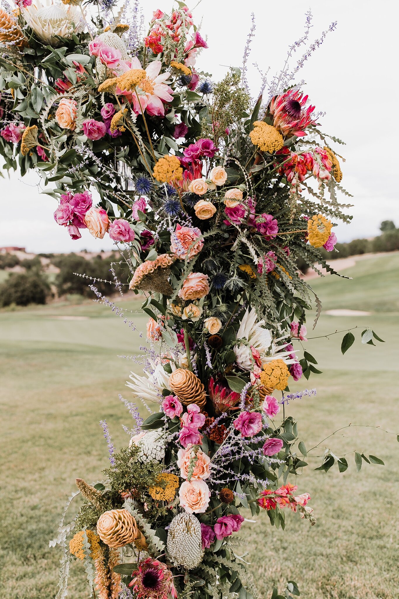 Alicia+lucia+photography+-+albuquerque+wedding+photographer+-+santa+fe+wedding+photography+-+new+mexico+wedding+photographer+-+new+mexico+wedding+-+wedding+-+wedding+altar+-+elopement+-+elopement+altar+-+intimate+wedding_0053.jpg