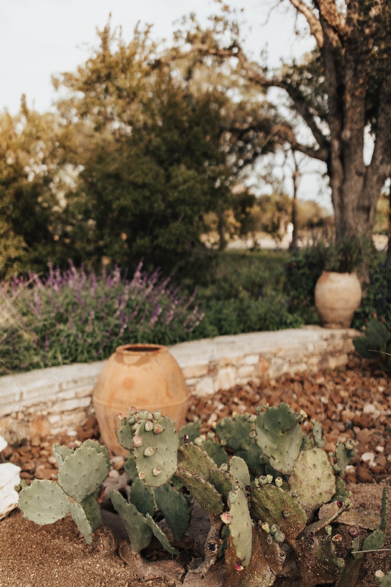 Alicia+lucia+photography+-+albuquerque+wedding+photographer+-+santa+fe+wedding+photography+-+new+mexico+wedding+photographer+-+new+mexico+wedding+-+engagement+-+texas+engagement+-+camp+lucy+-+camp+lucy+engagement_0003.jpg