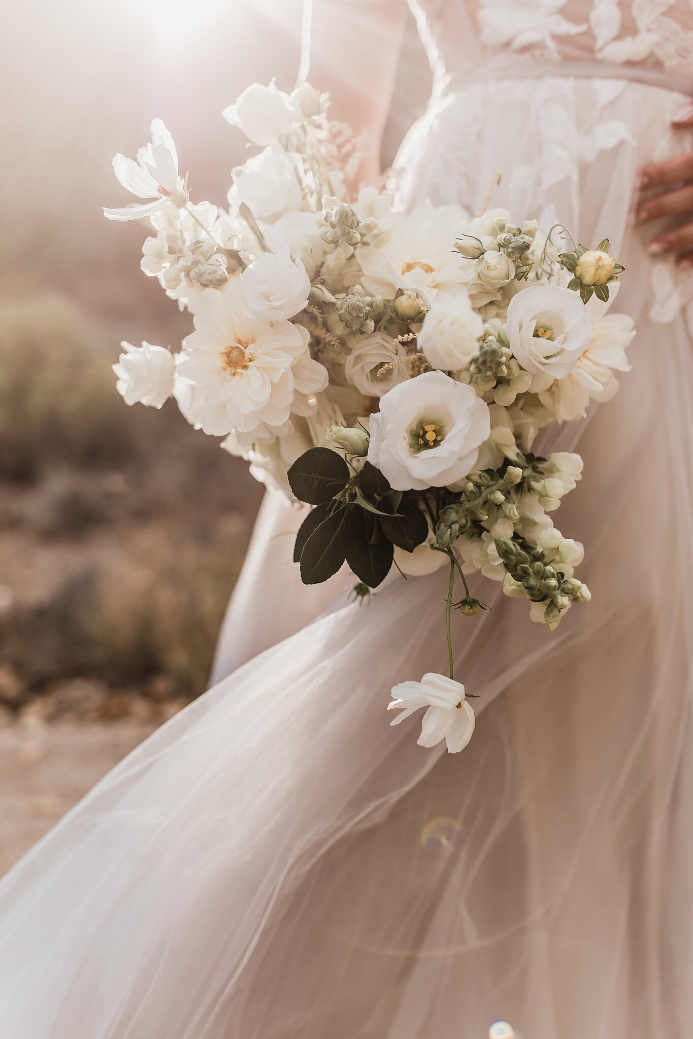 Alicia+lucia+photography+-+albuquerque+wedding+photographer+-+santa+fe+wedding+photography+-+new+mexico+wedding+photographer+-+new+mexico+wedding+-+wedding+-+desert+wedding+-+styled+anniversary+-+new+mexico+styled+wedding_0025.jpg