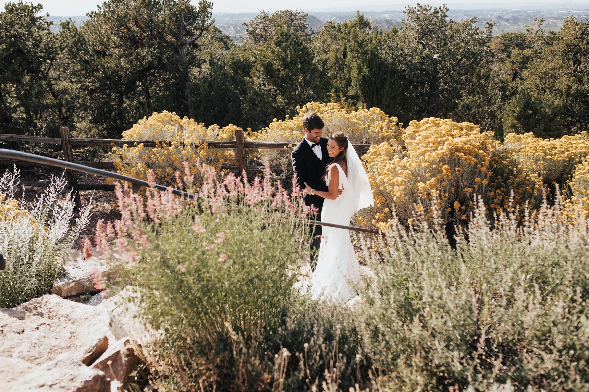 Alicia+lucia+photography+-+albuquerque+wedding+photographer+-+santa+fe+wedding+photography+-+new+mexico+wedding+photographer+-+new+mexico+wedding+-+santa+fe+wedding+-+backyard+wedding+-+mountain+wedding+-+intimate+wedding_0040.jpg