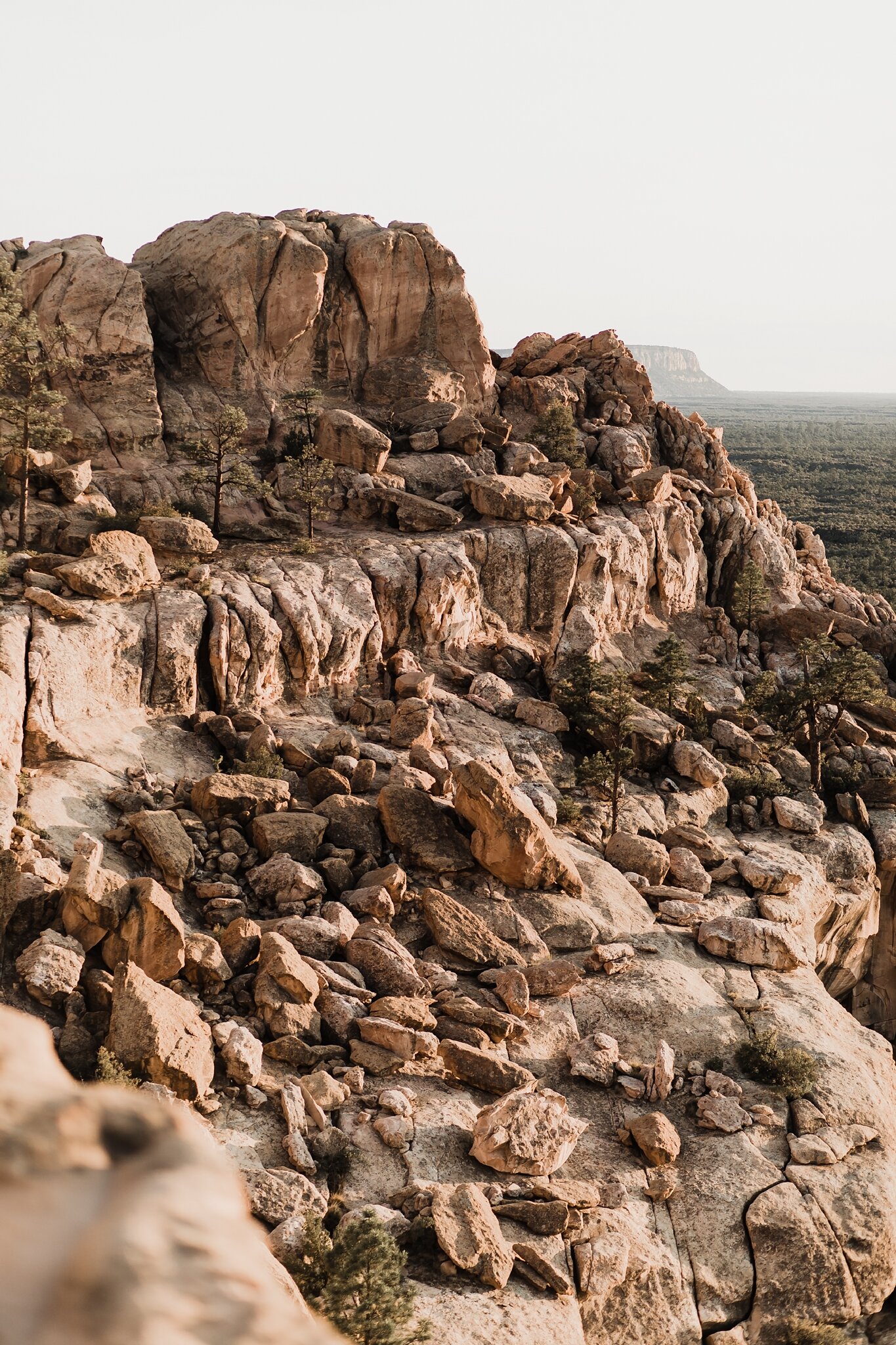 Alicia+lucia+photography+-+albuquerque+wedding+photographer+-+santa+fe+wedding+photography+-+new+mexico+wedding+photographer+-+new+mexico+wedding+-+anniversary+-+styled+anniversary+-+elopement+-+styled+elopement_0030.jpg